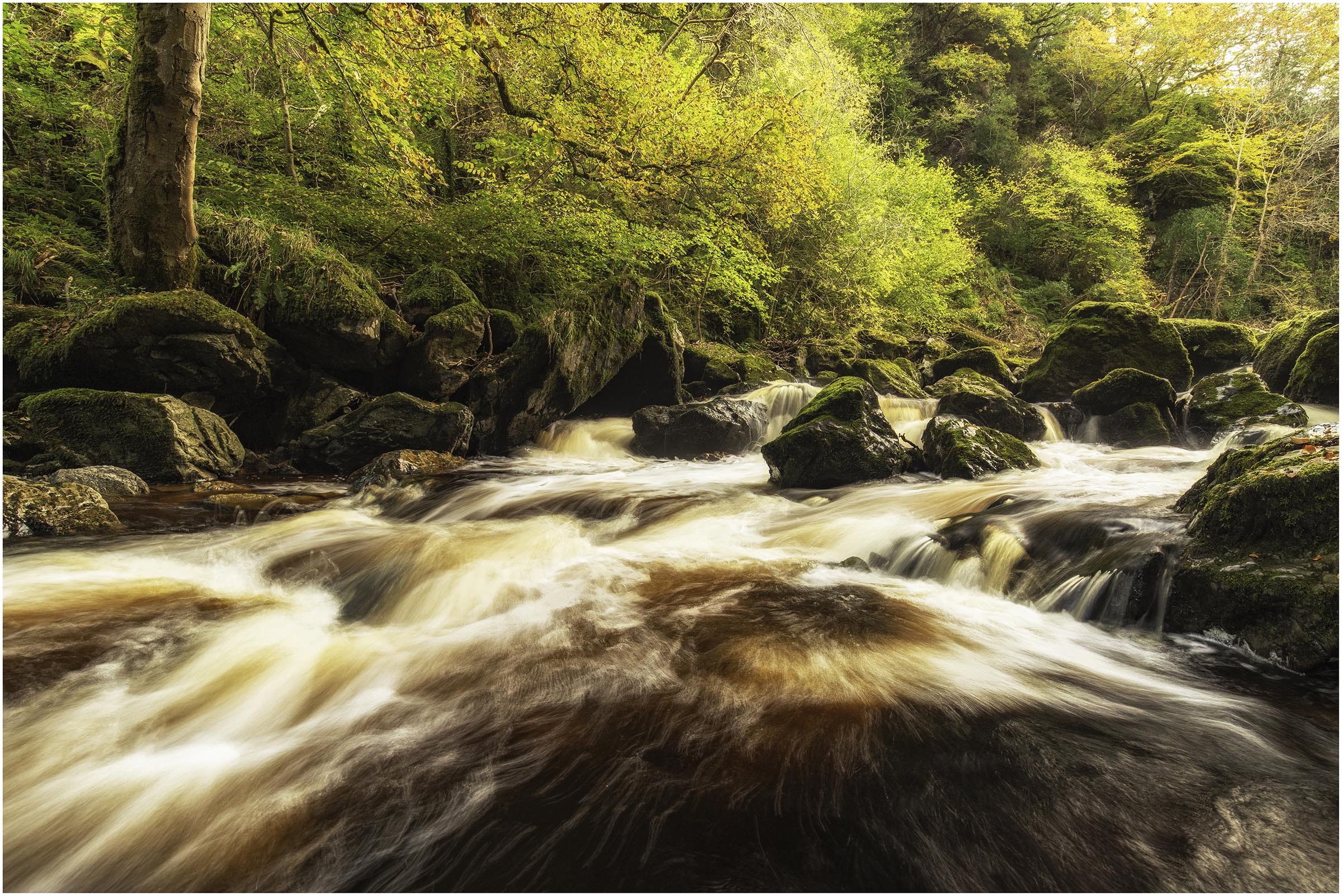 Dargle River.jpg