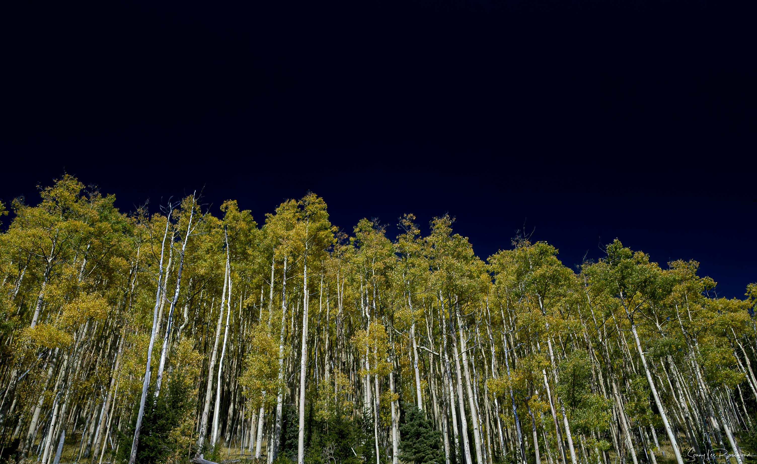 deep_blue-1