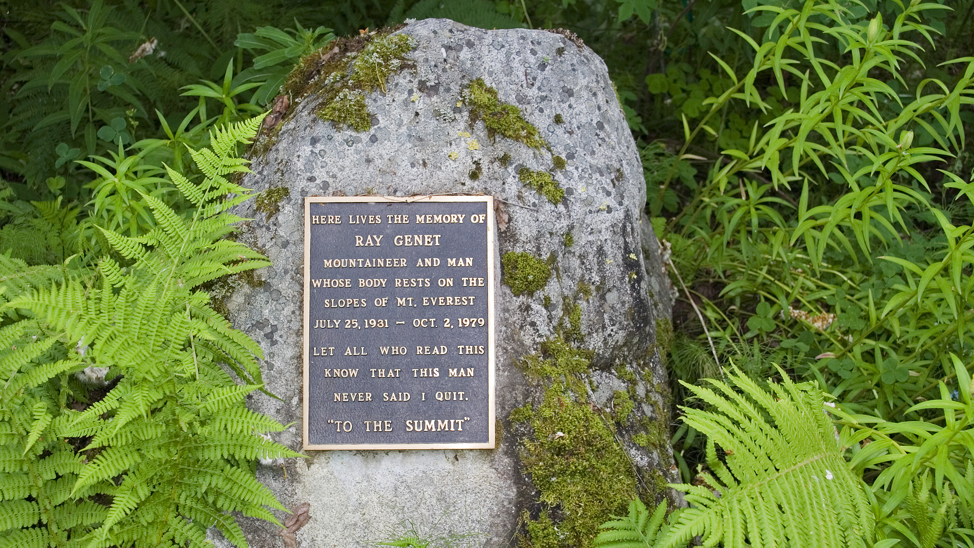 Denali (272)