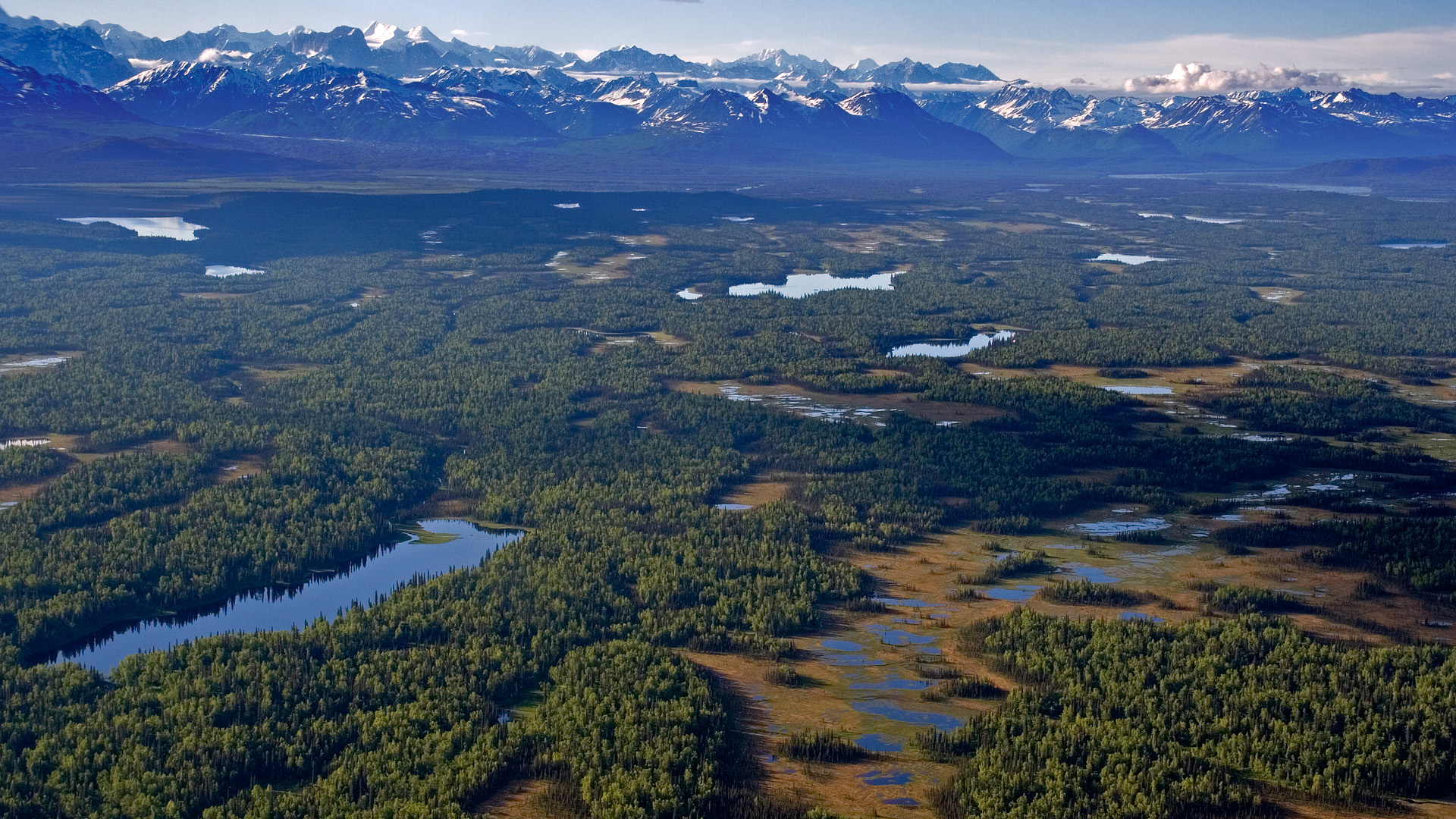 Denali (48)