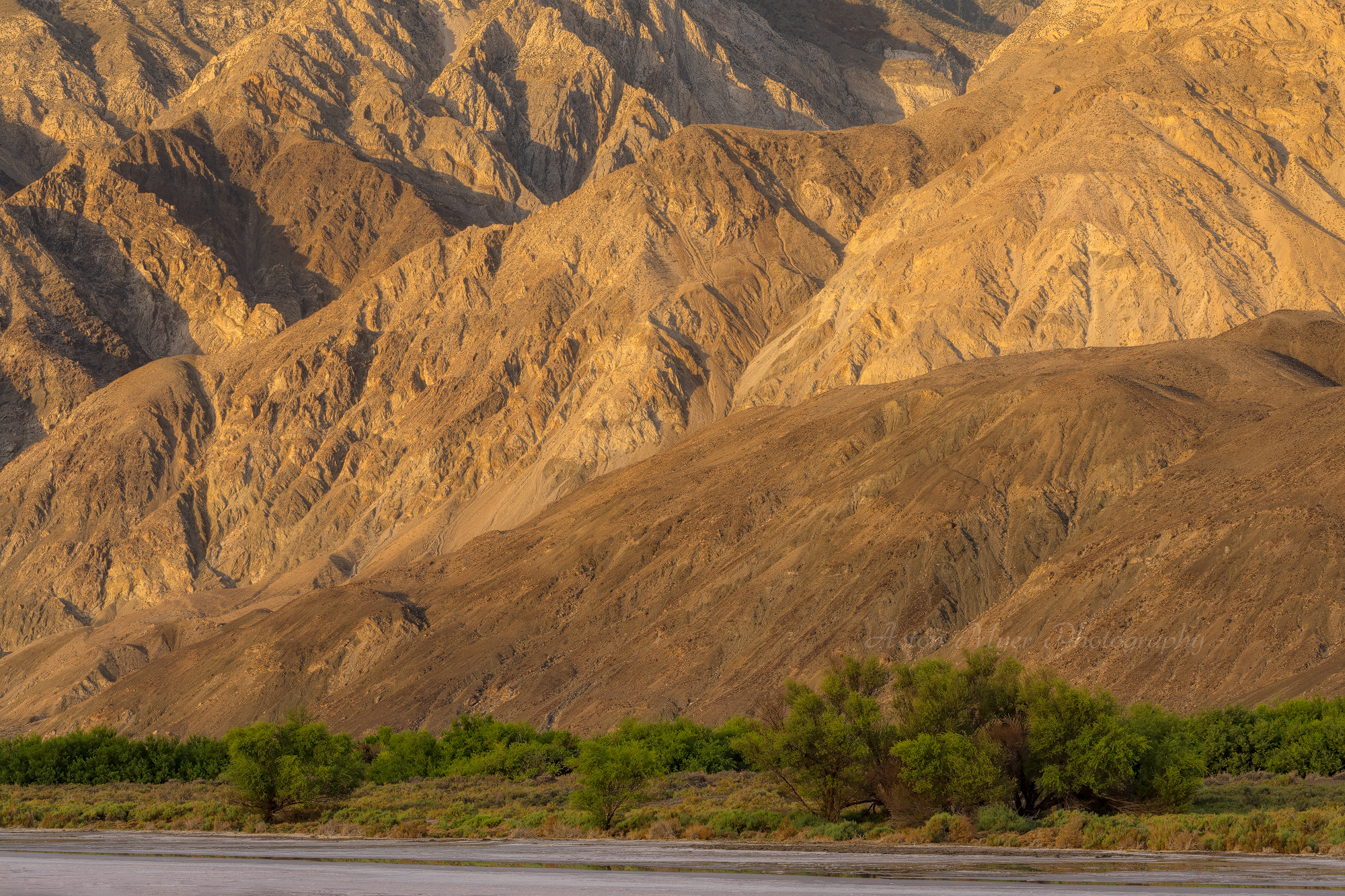 Desert Spring and Mountains.jpg