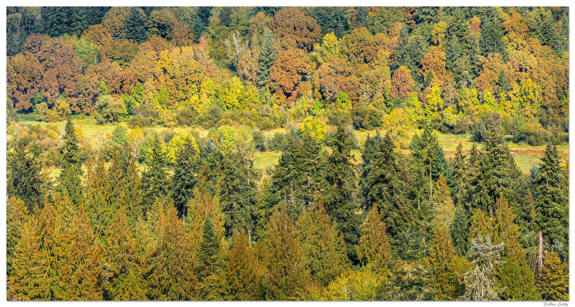 DJI_M3-SalmonCreek102322.jpg