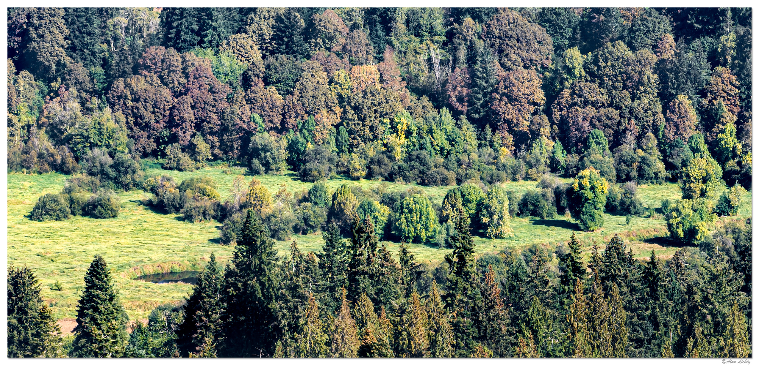 DJI_M3-SC-EarlyColors.jpg