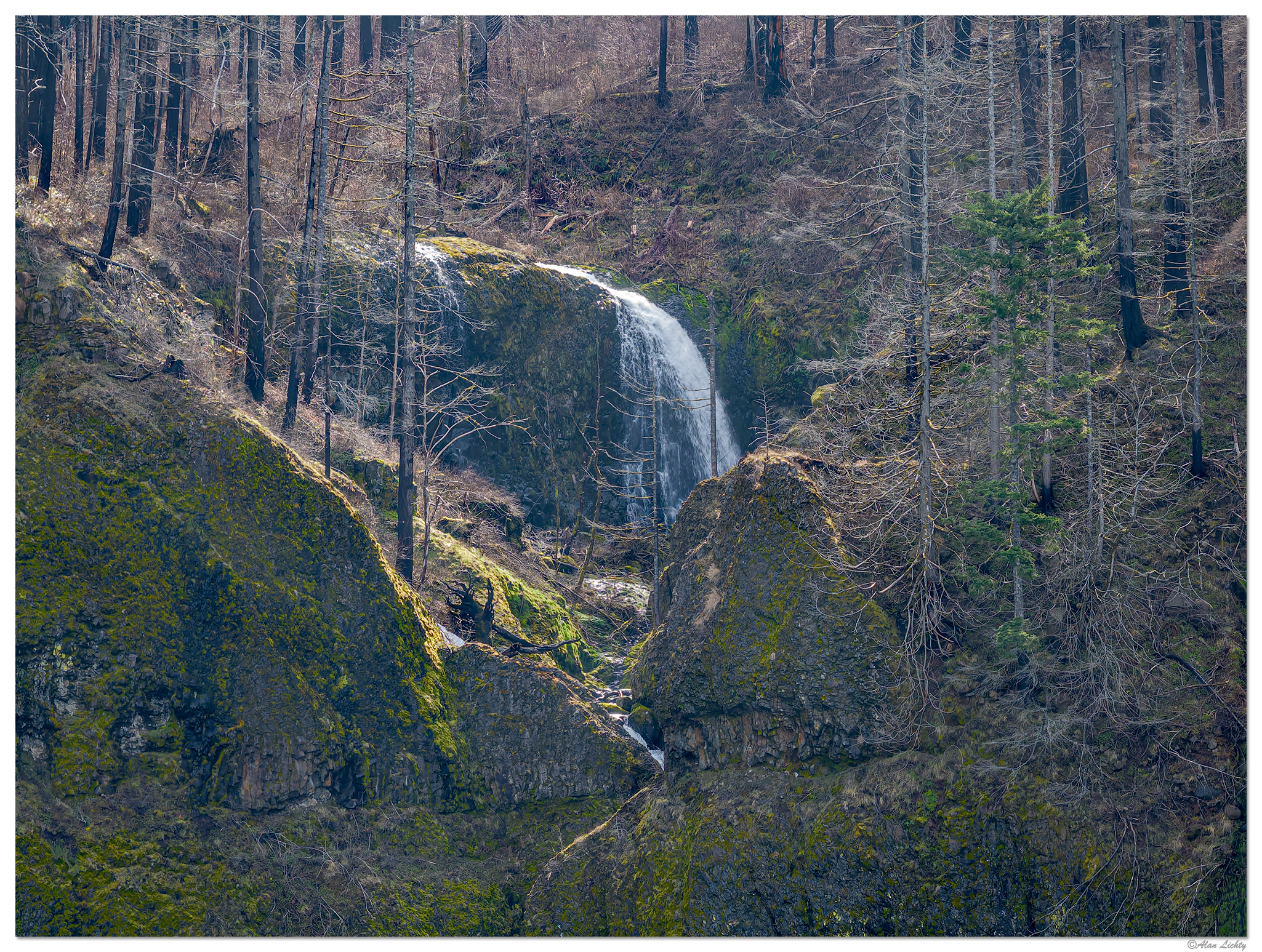 DJI_M3P_166_UpperElowah030824.jpg