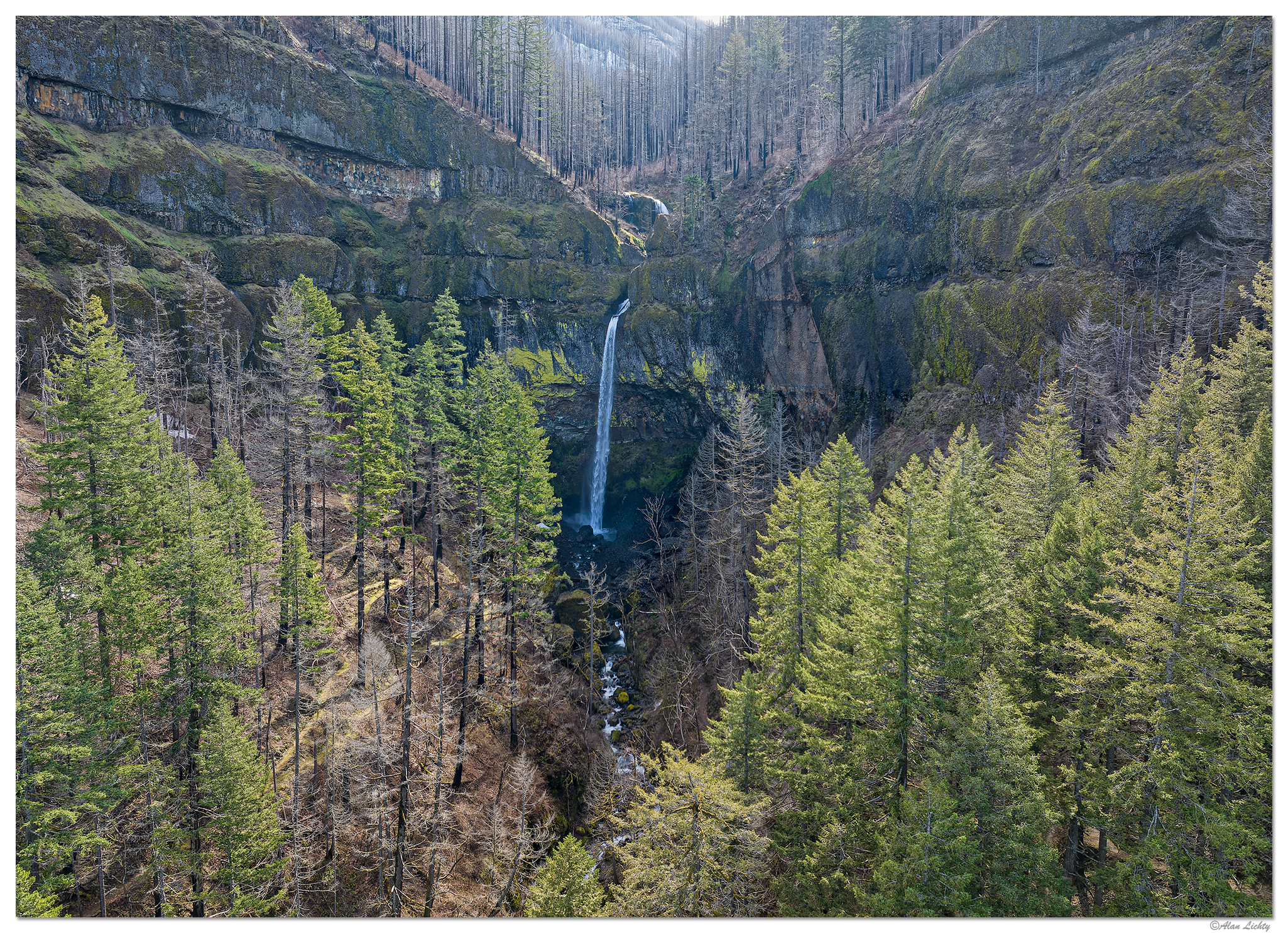 DJI_M3P_24_ElowahFalls030824.jpg