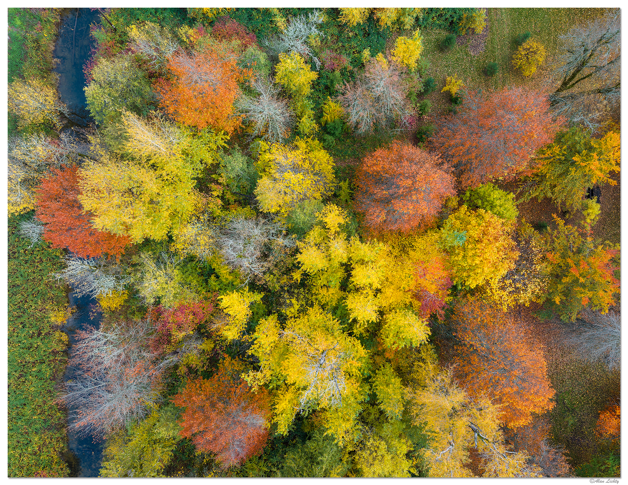 DJI_M3P_24_GorgeTrix111023.jpg