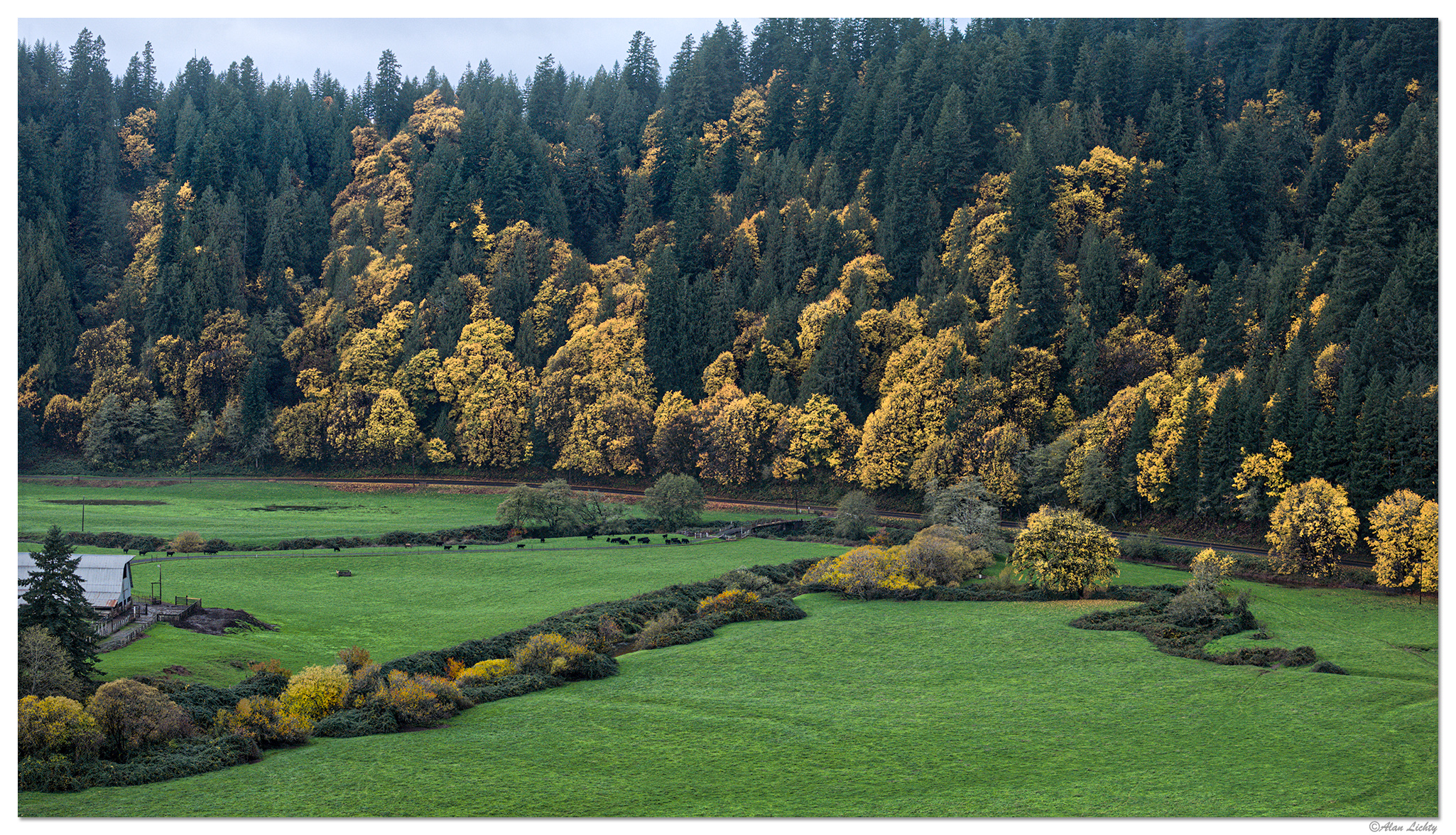 DJI_M3P_24_NForkSiuslaw110623-2.jpg