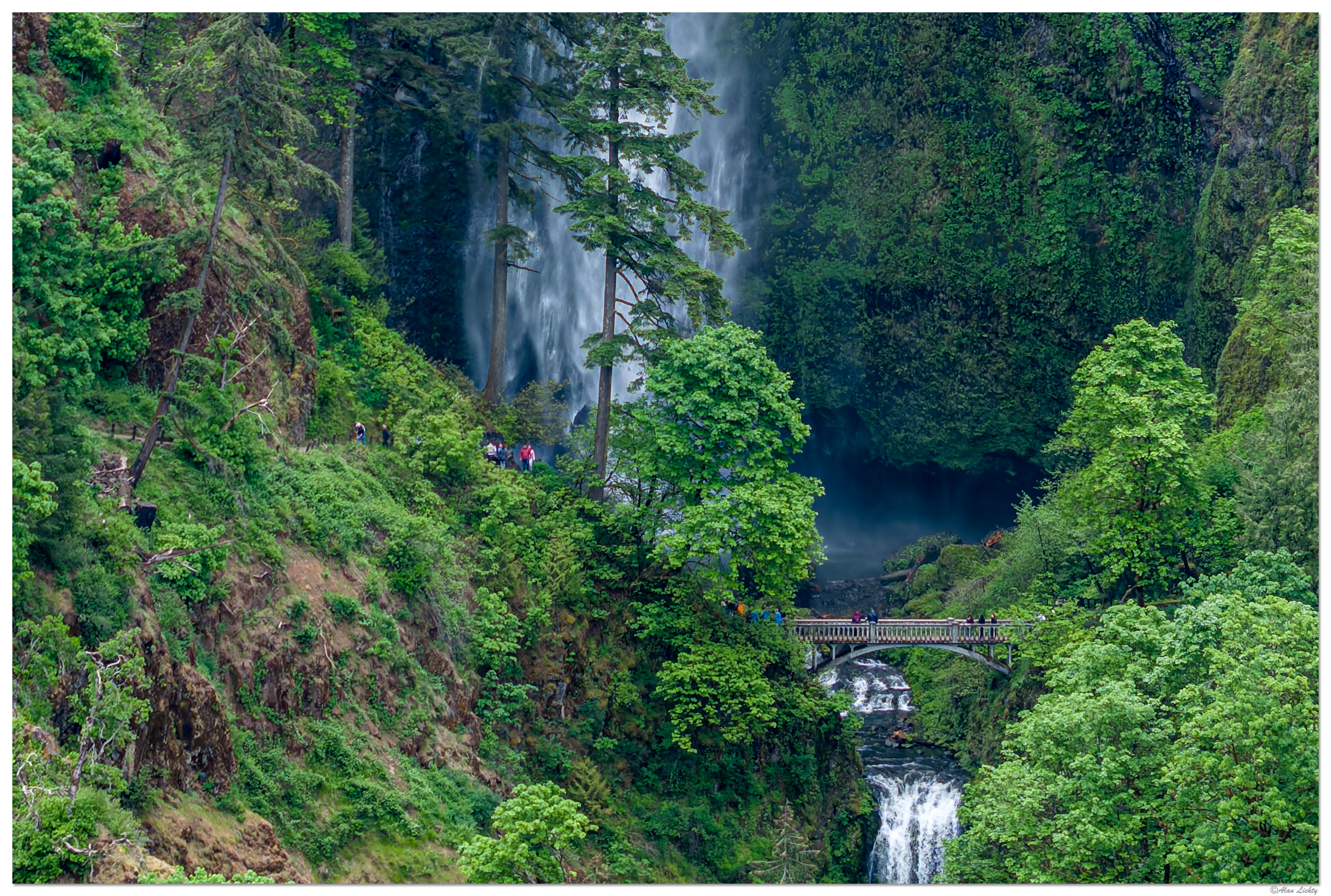 DJI_M3P_70_BurstMultnomah100.jpg
