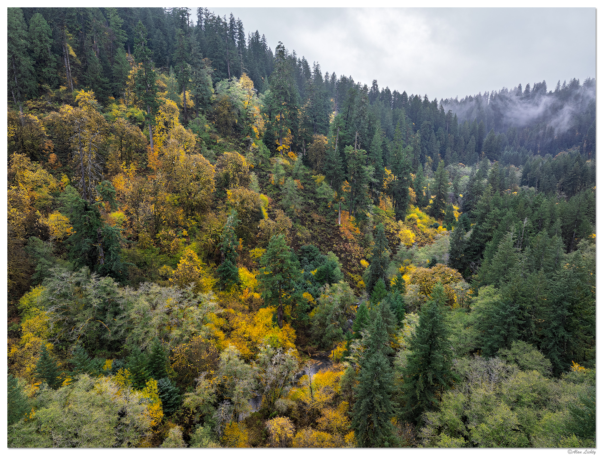 DJI_MP3_24_CoastalMtnFall110623.jpg