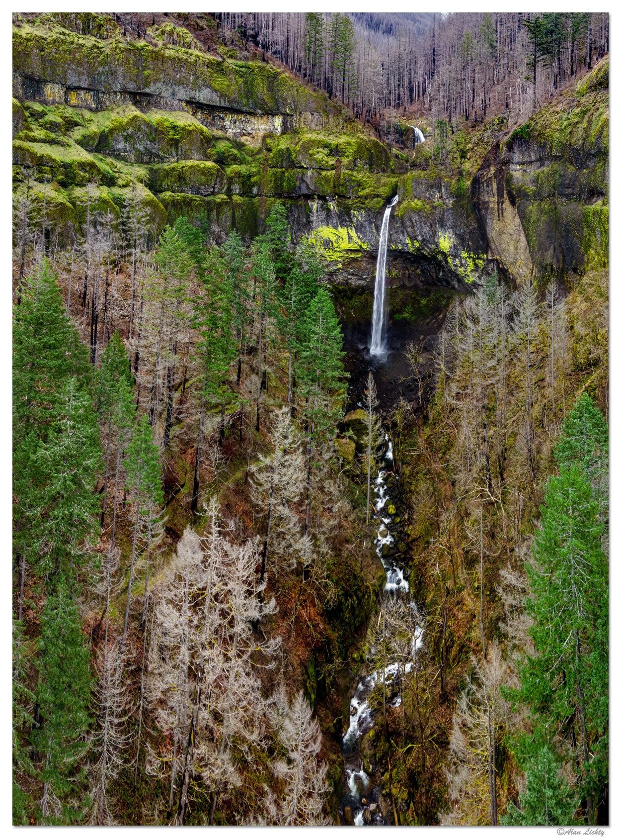Elowah Falls - Vertical Pano