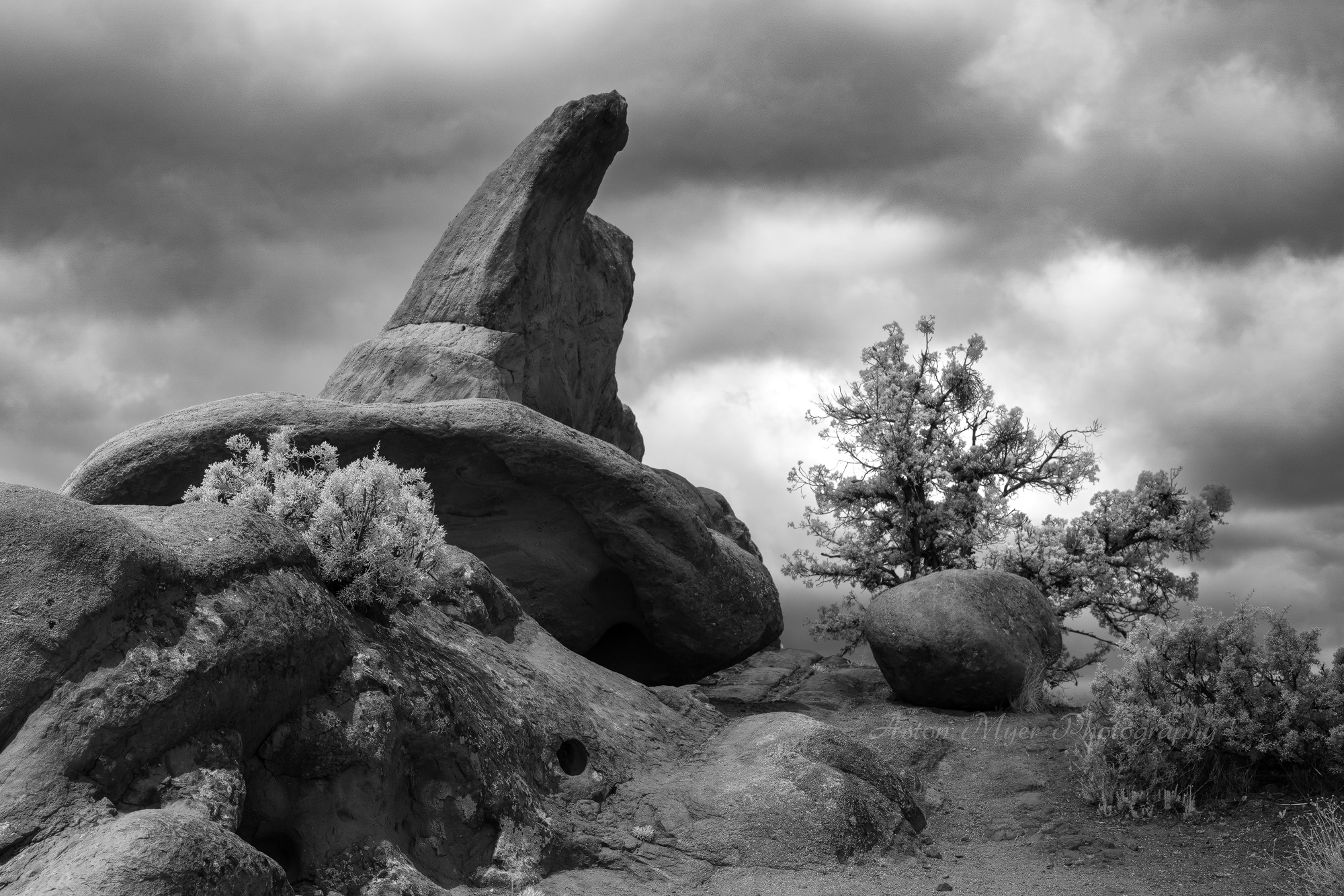 Enchanted Storm.jpg
