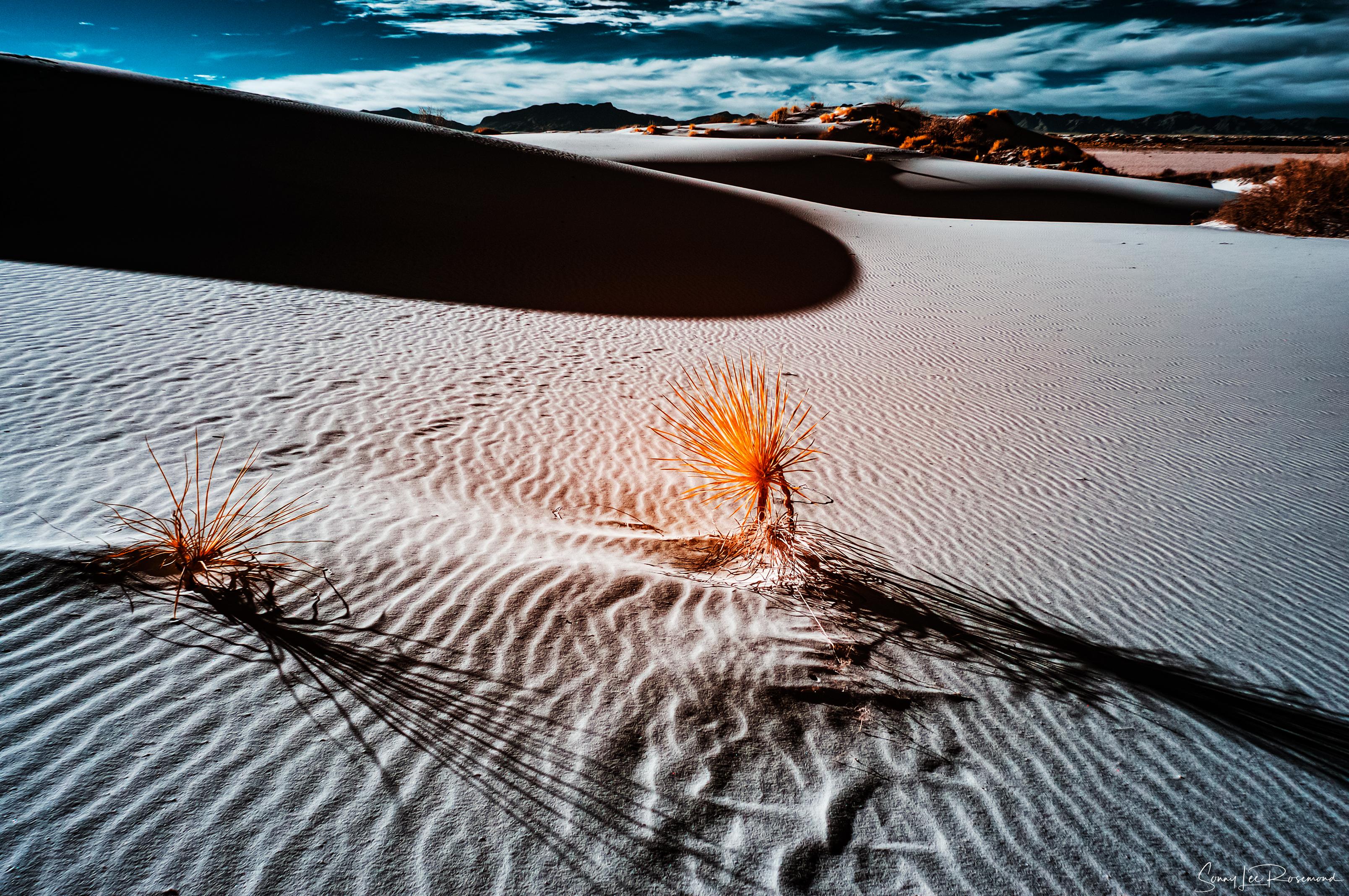 Expanse