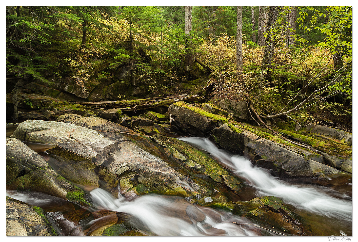 Fall Along The Wonderland