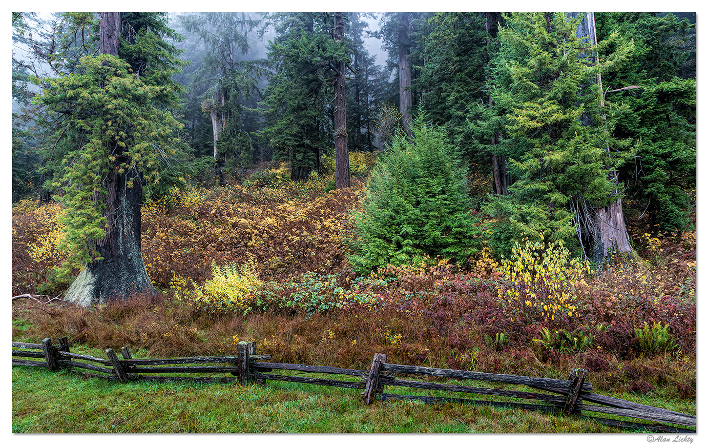 Fall at Elk Meadows