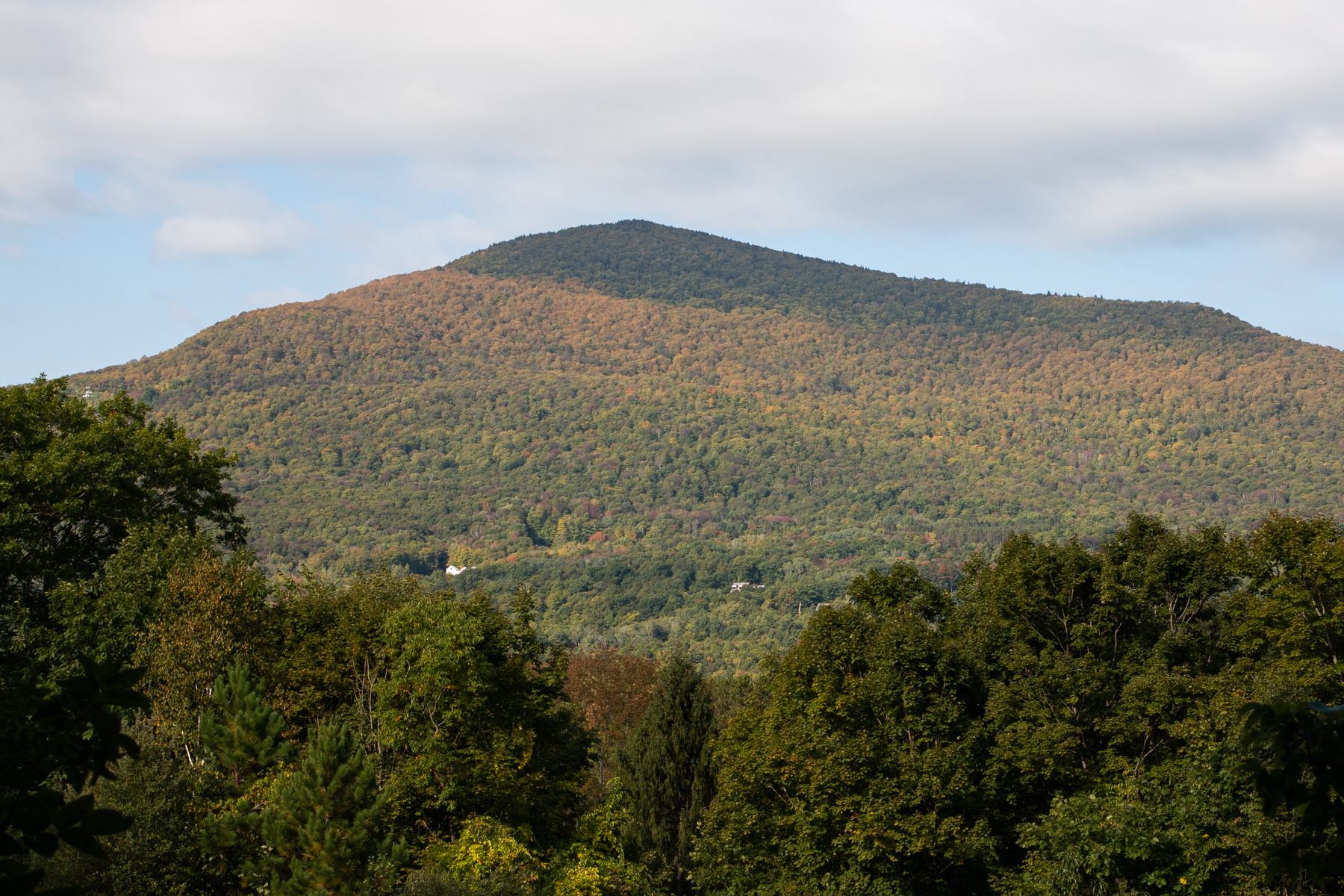Fall Colors Starting, VT