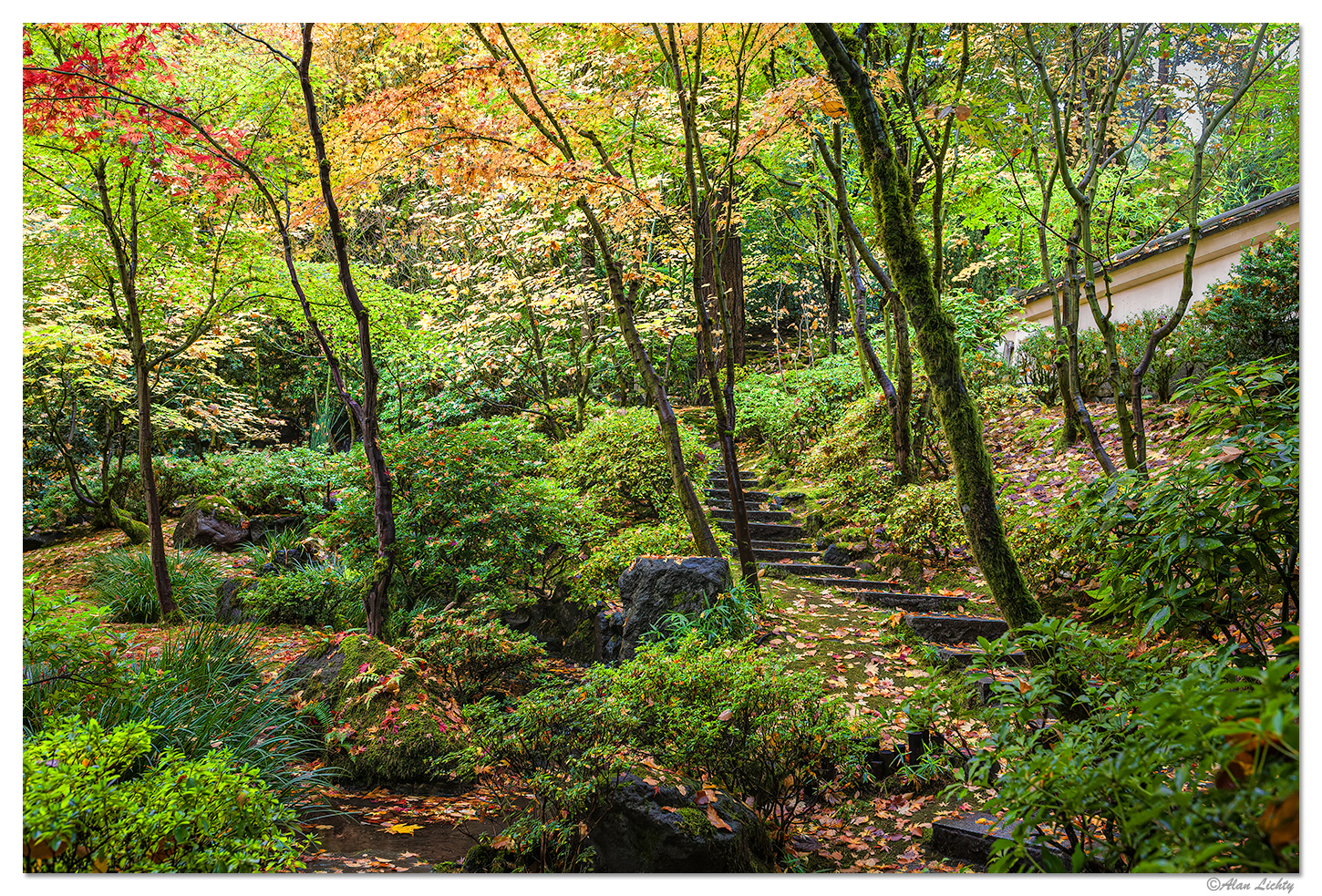 Fall Colors