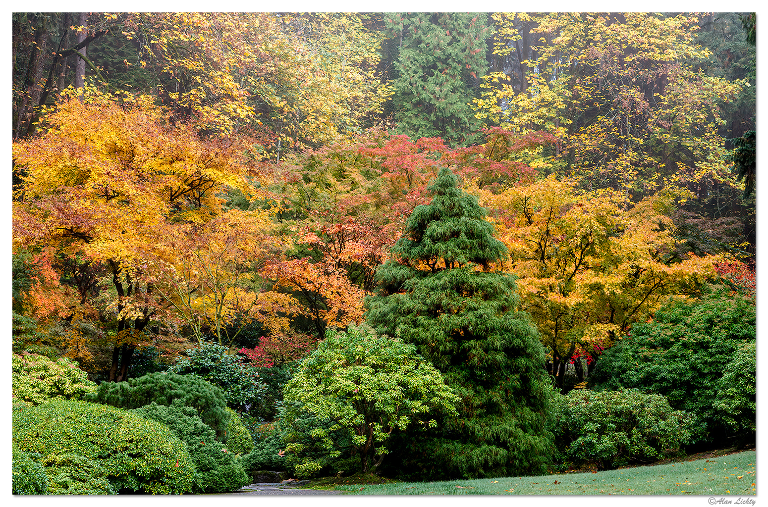 Fall Colors