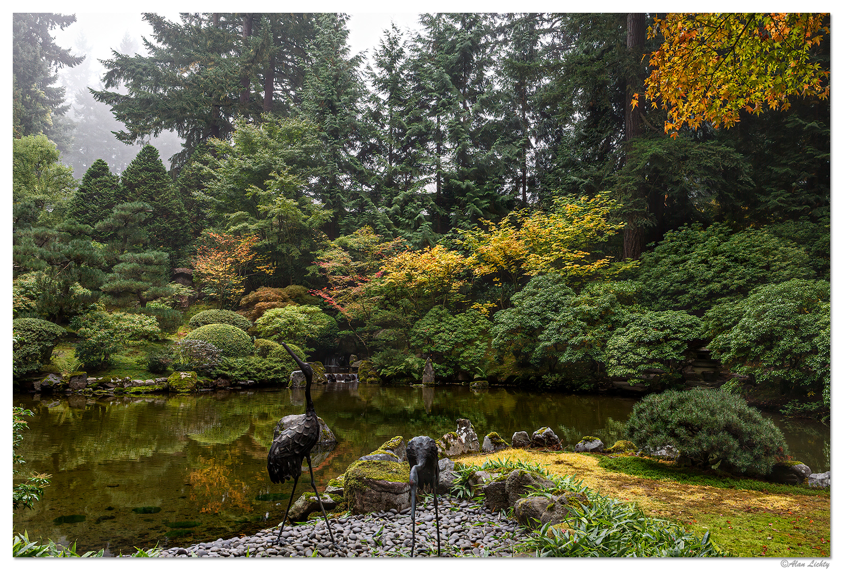 Fall in the Garden