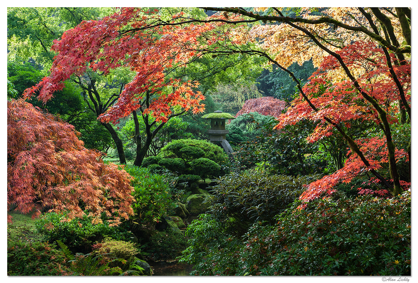 Fall in the Gardens