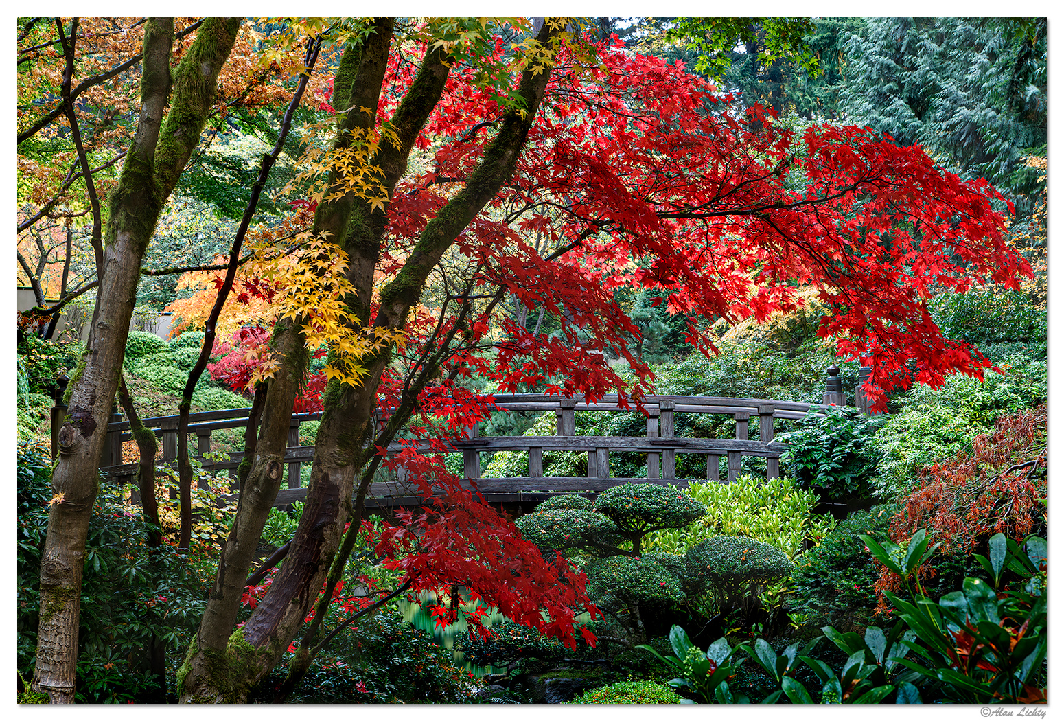 Fall Moonbridge