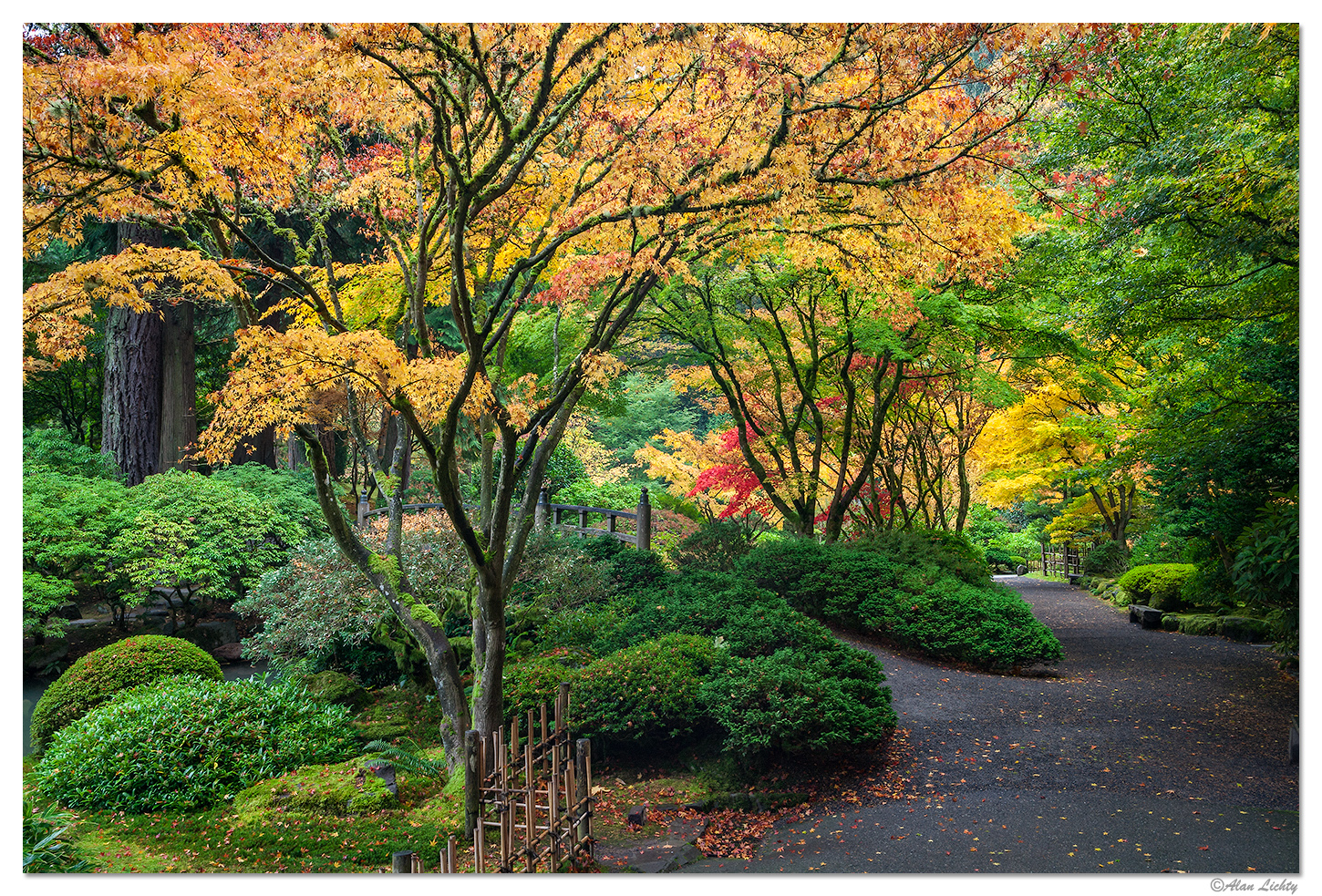 Fall Pathways