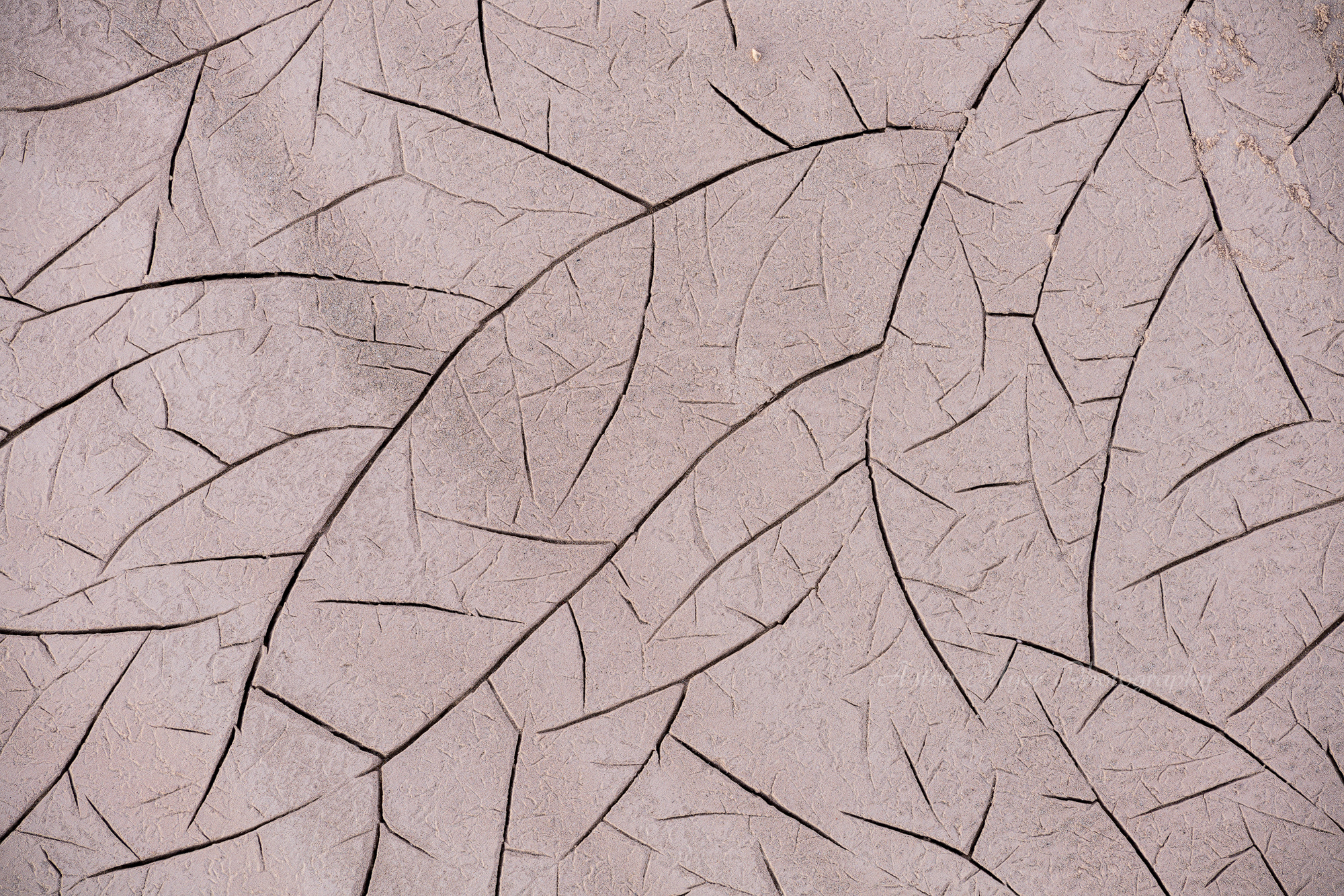 Feather Cracks.jpg