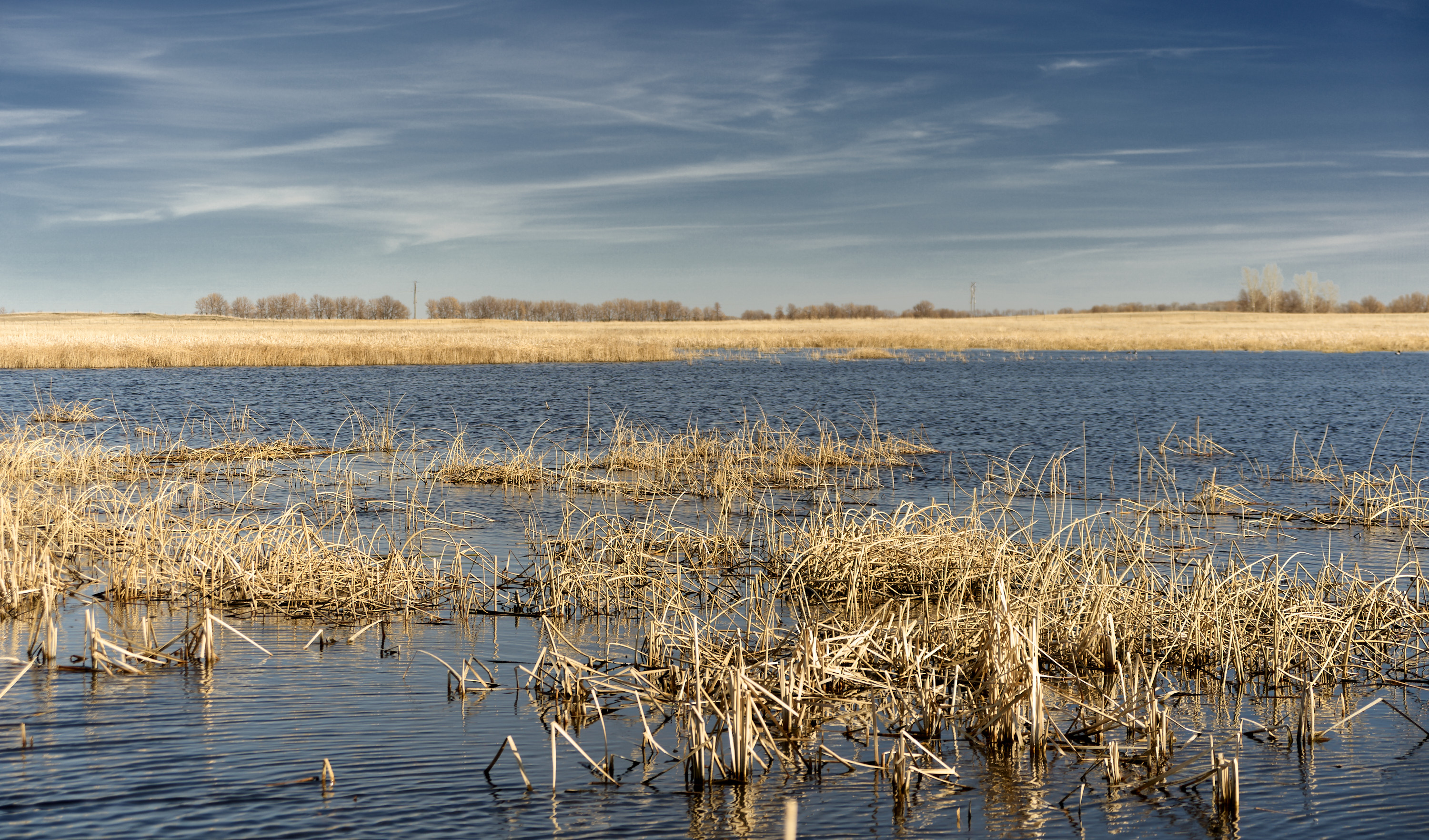 Flooded Fields.jpg