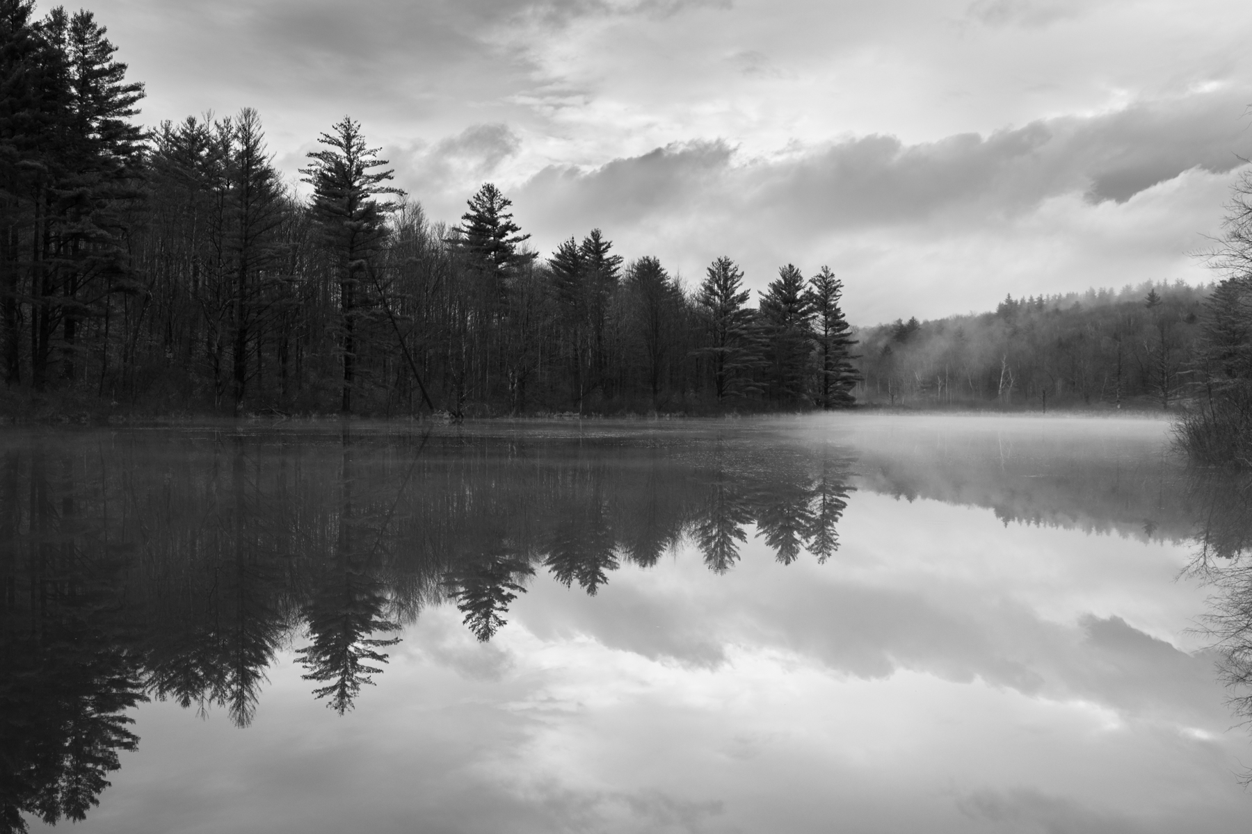Fog on the pond 3