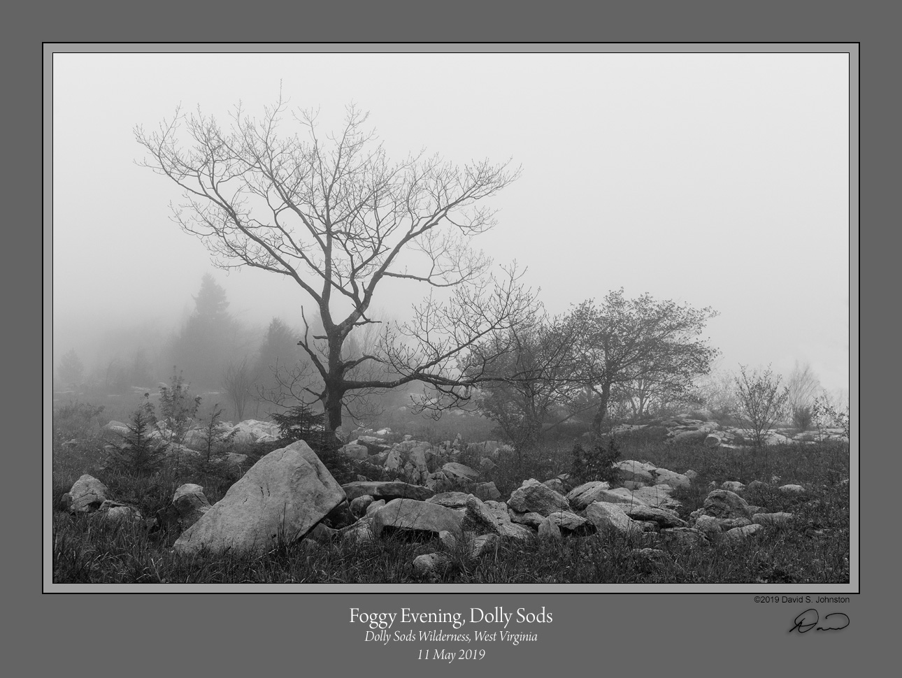 Foggy Evening Dolly Sods