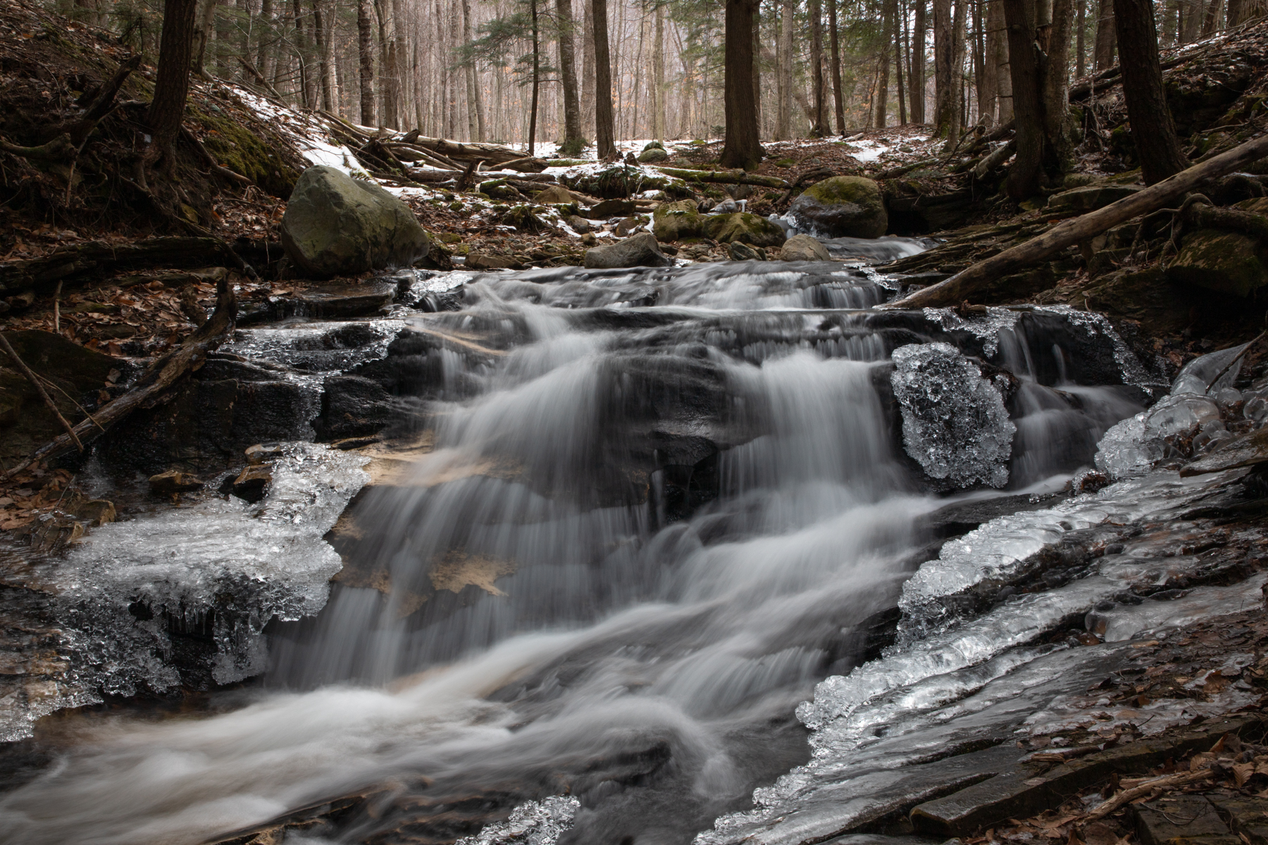 Frozen in Motion