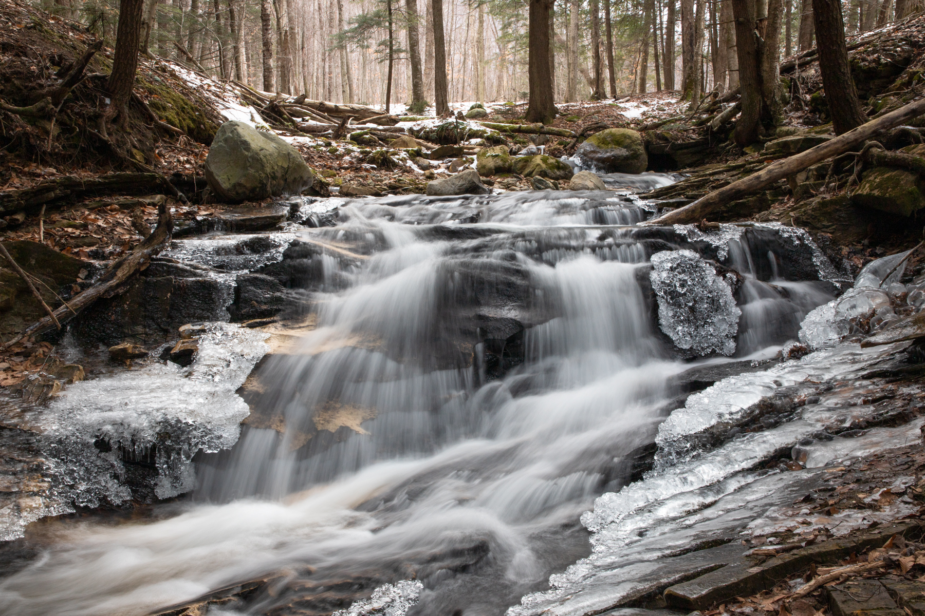 Frozen in Motion