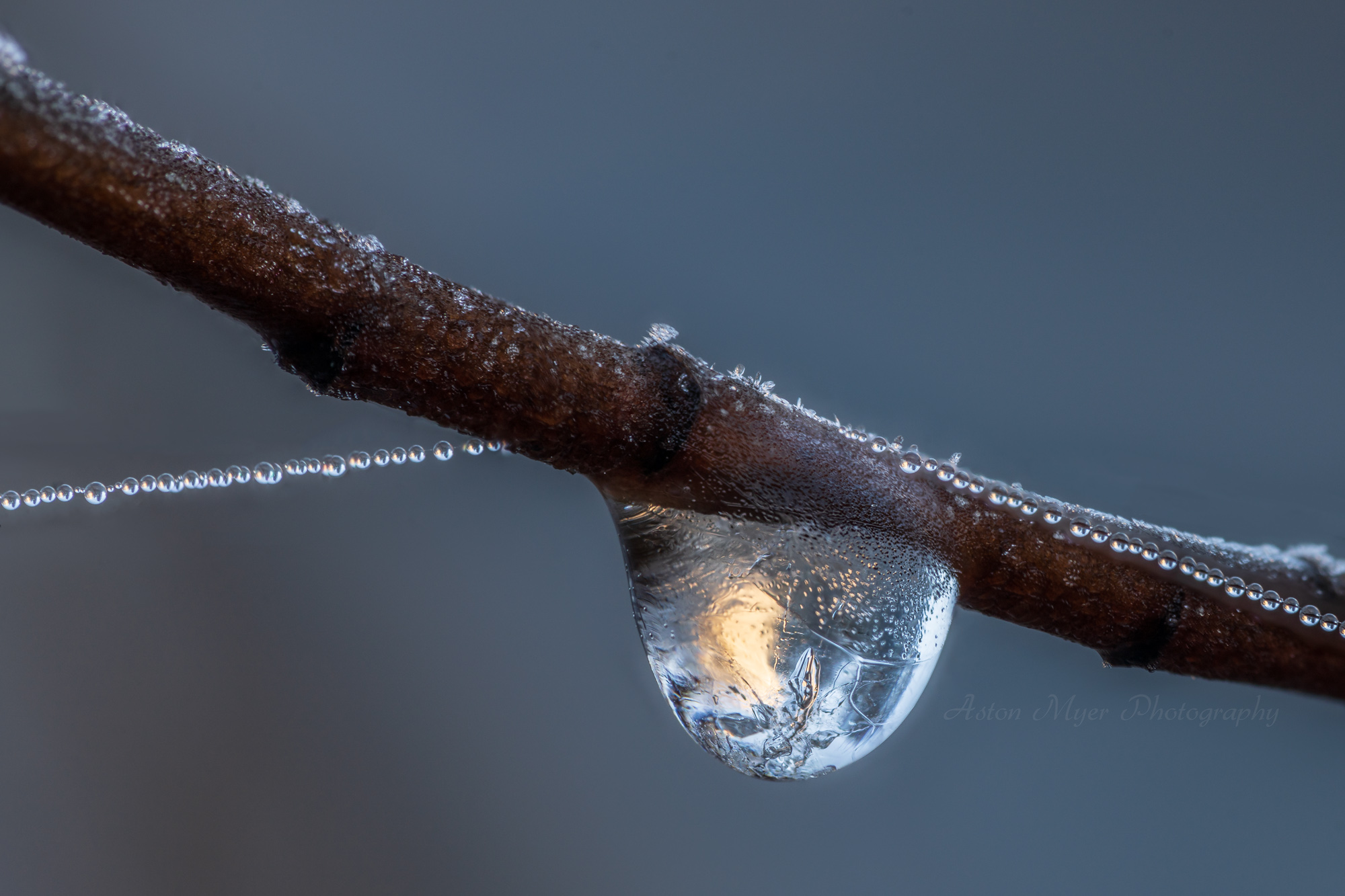 Frozen Light.jpg
