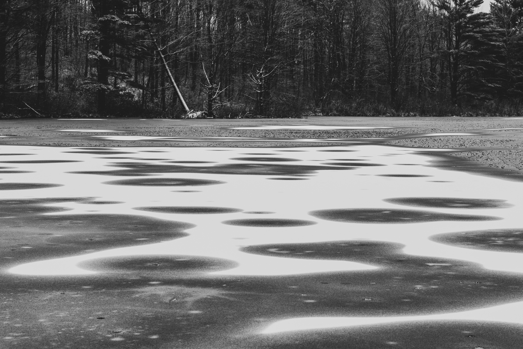 Frozen Pond