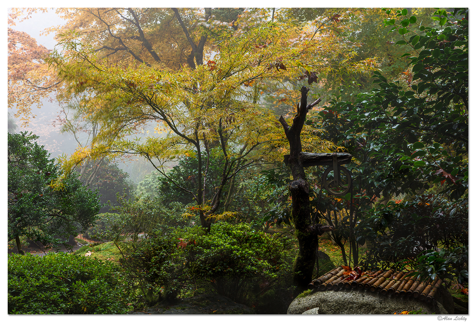 Garden Fog