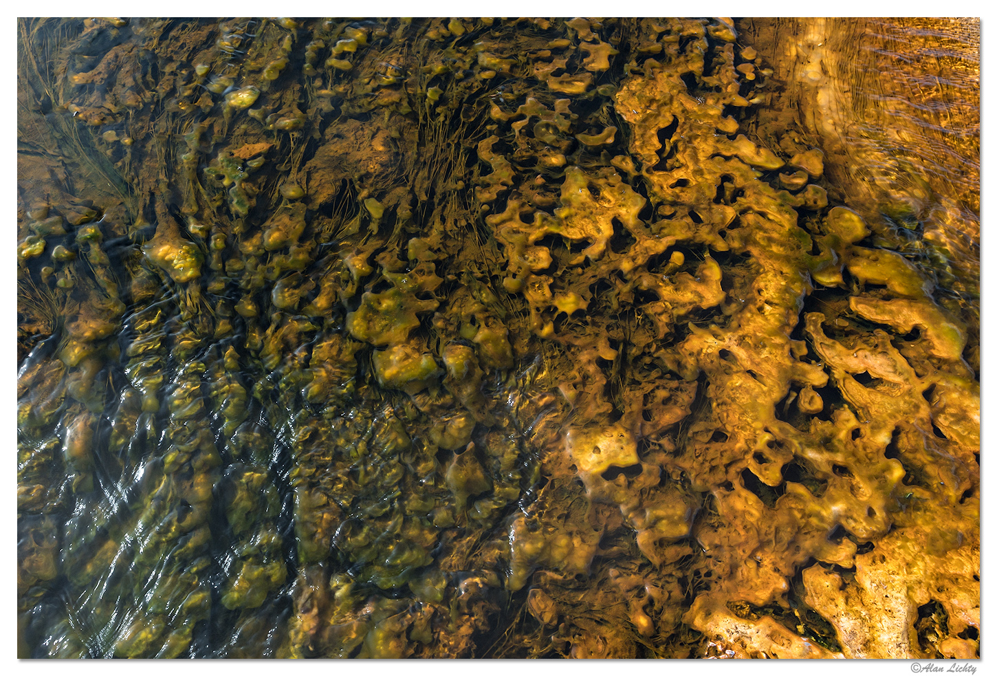 Geyser Goo