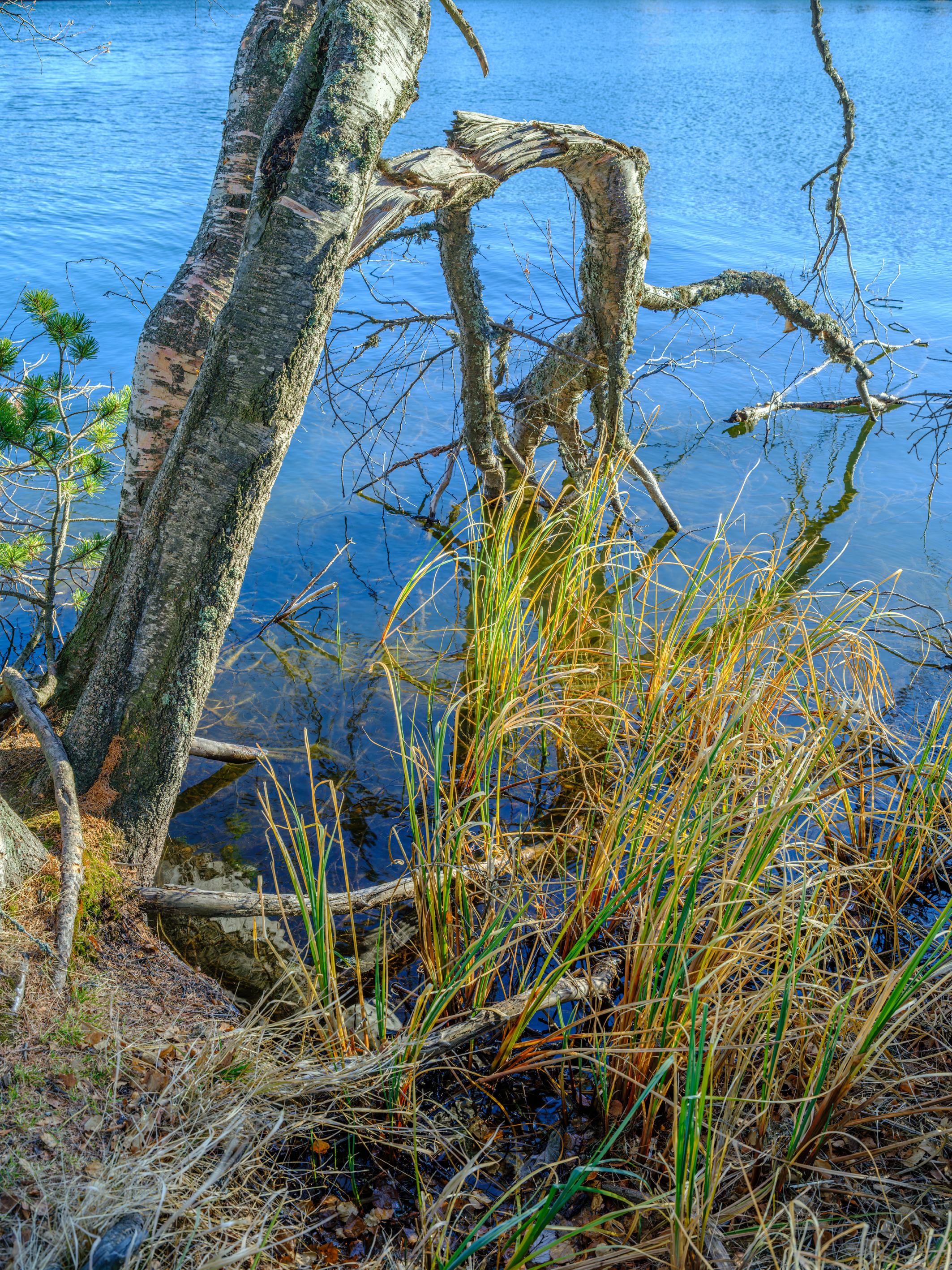 GFX100S000_010-Velvia1 Photo kopie.jpg