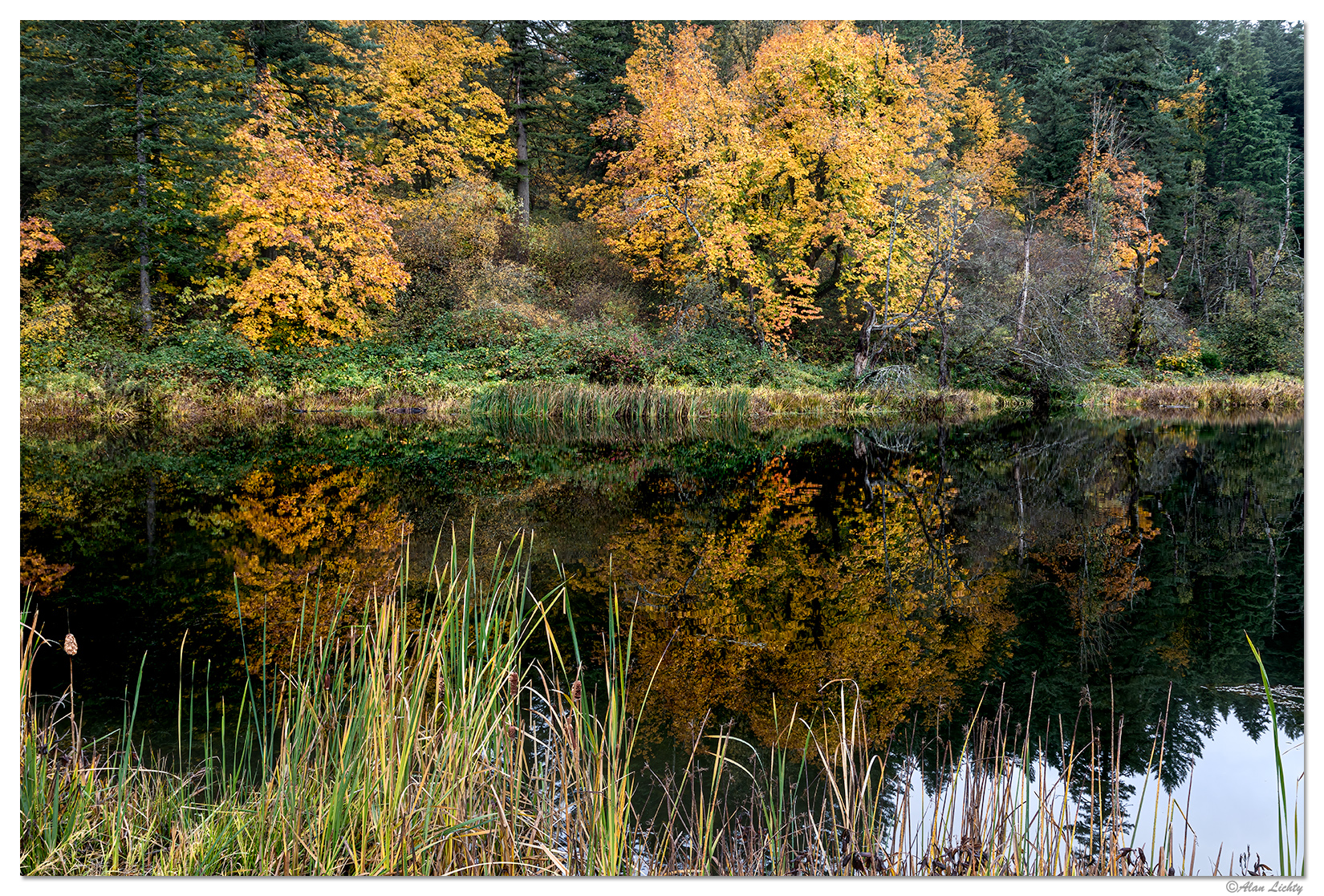 Gorge Colors