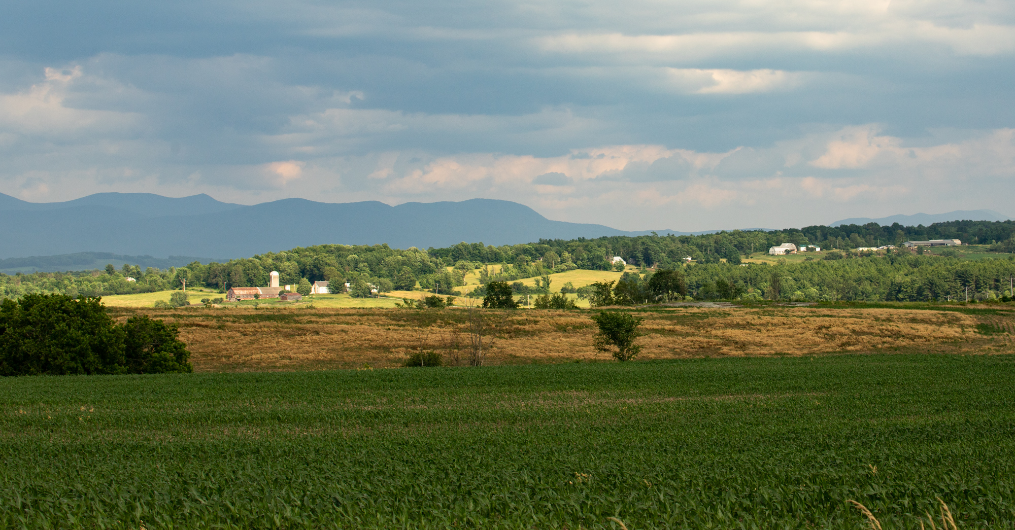 Green Mountain Views