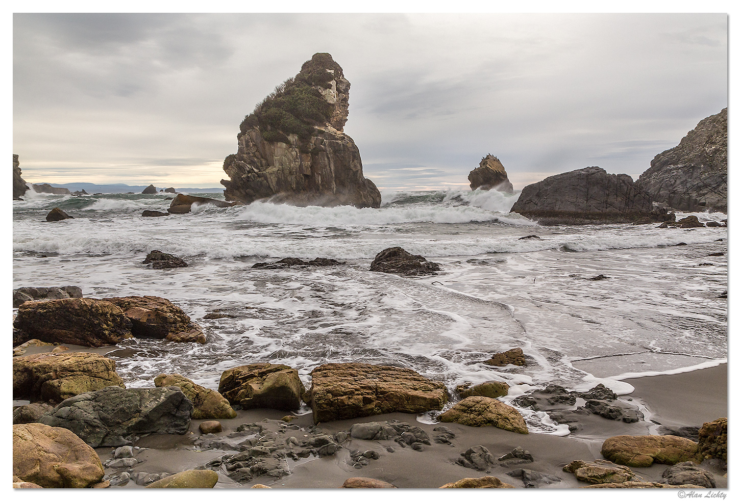 Harris Beach Marine Gardens