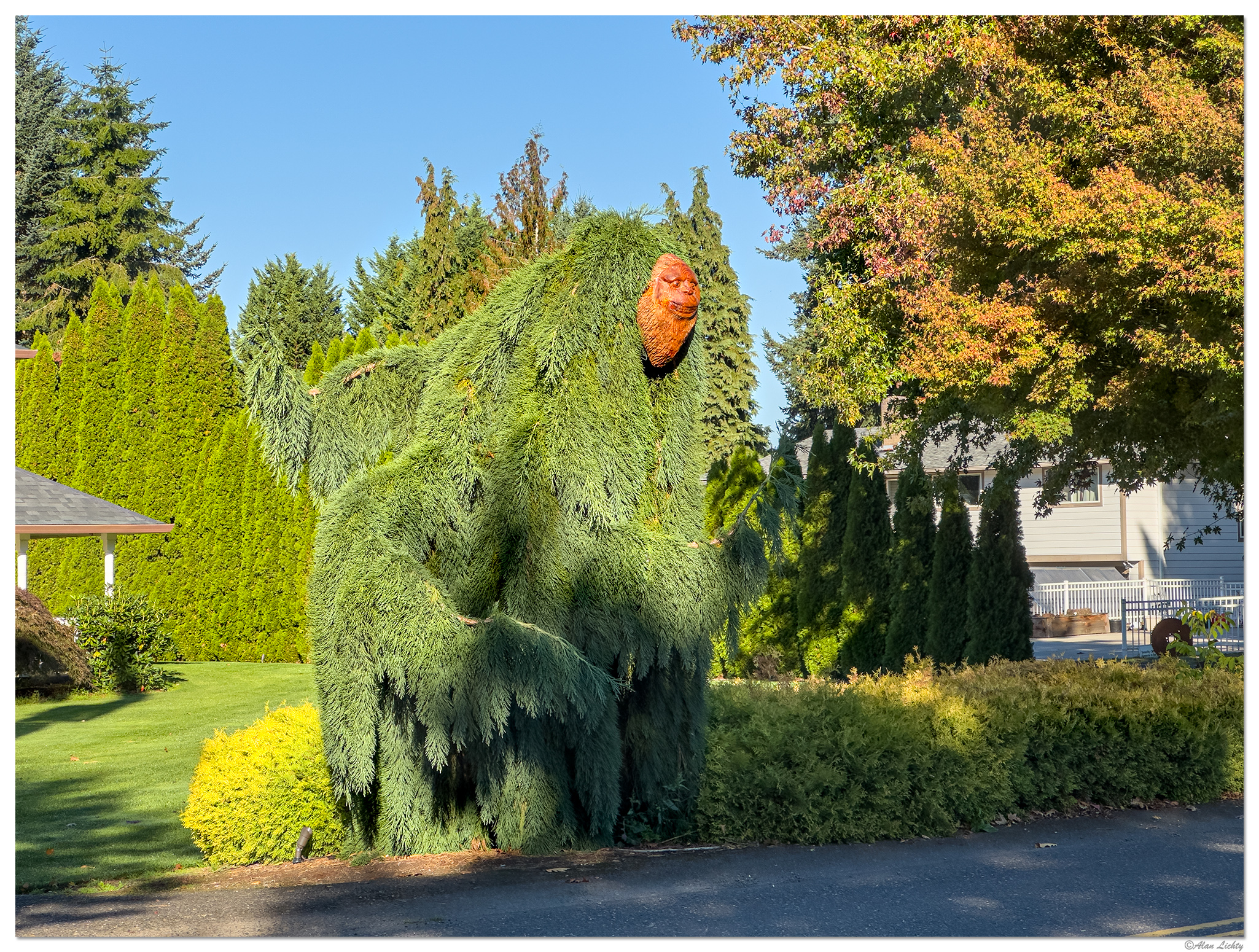 I15P-KillerEvergreens100723-2.jpg
