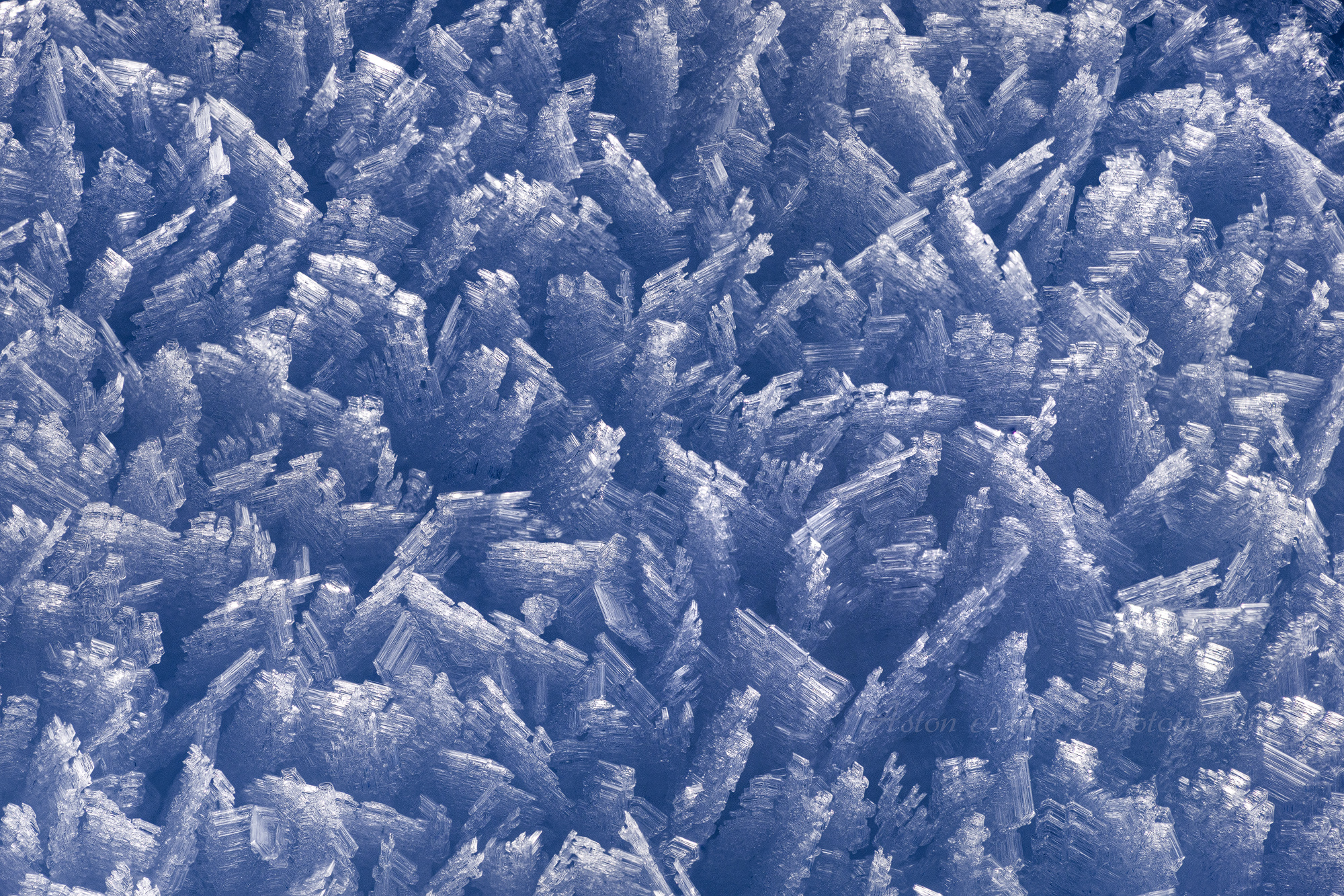 Intimate Hoarfrost.jpg
