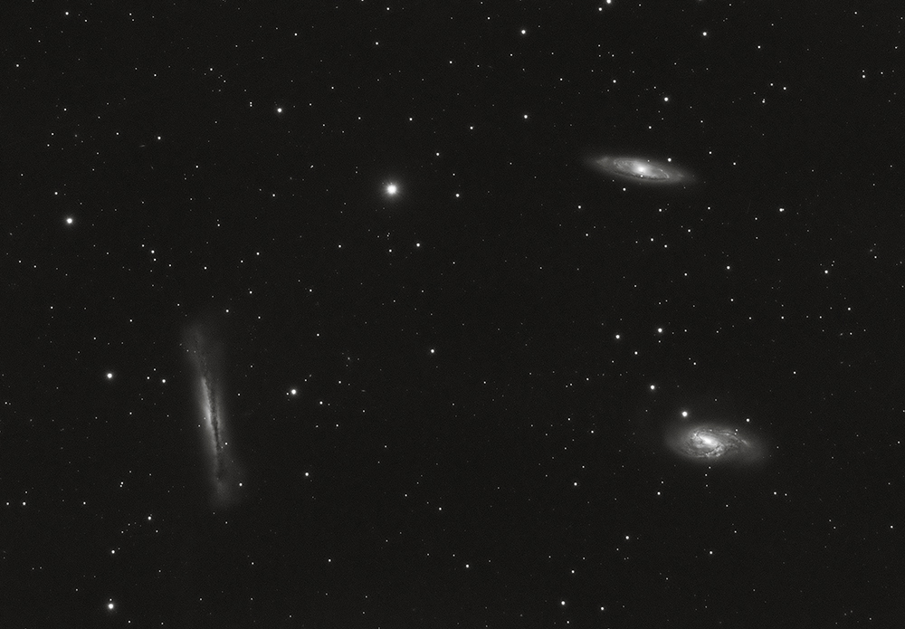 Leo Triplet Lum Small