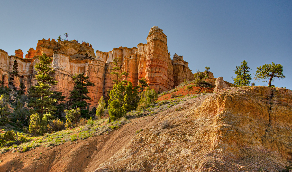 LetsPlay37_MLewis__D7K0842_1