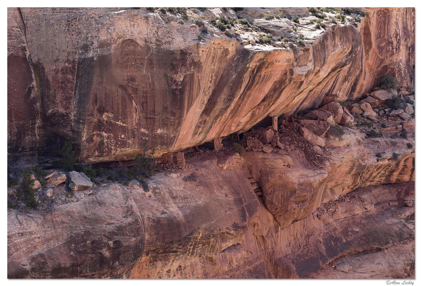 Lewis Lodge Overview