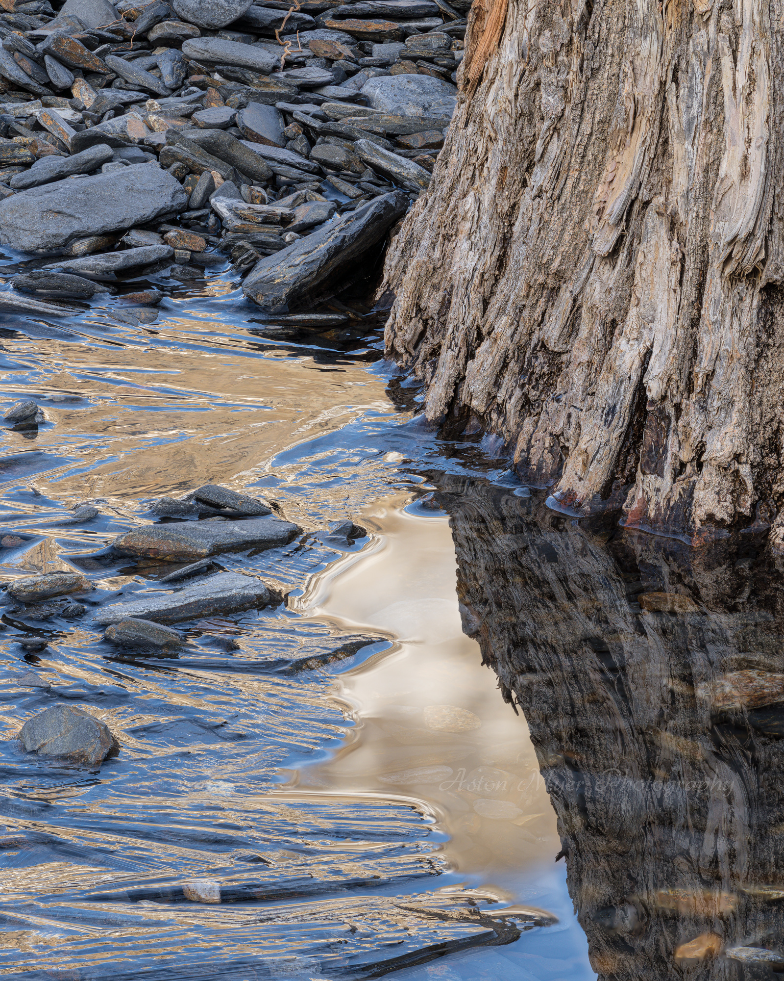 Life, Ice, and Stone.jpg