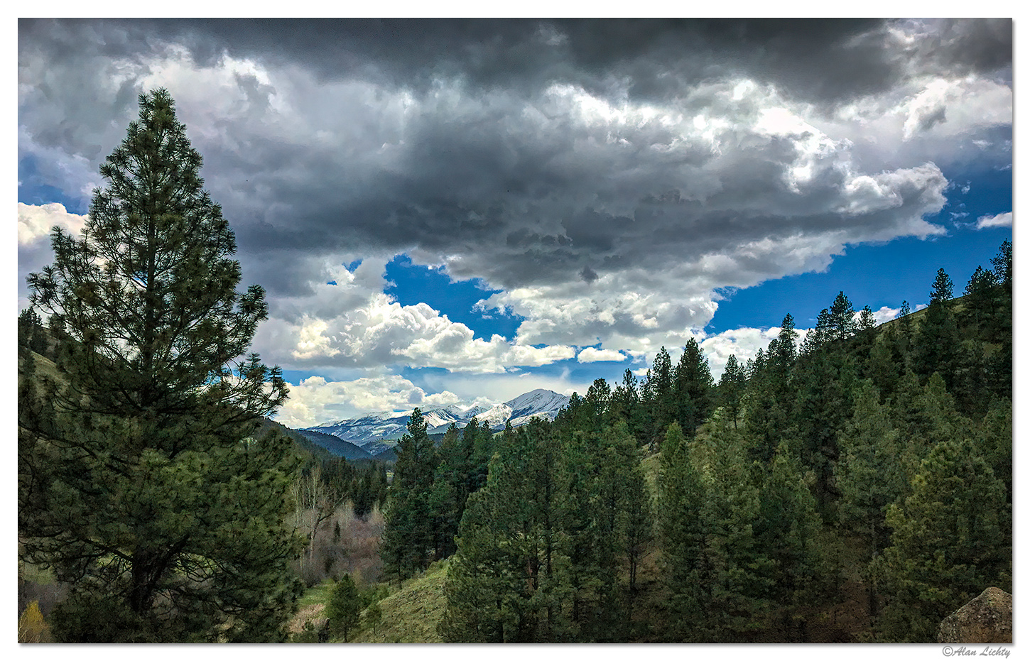 Little Sheep Creek