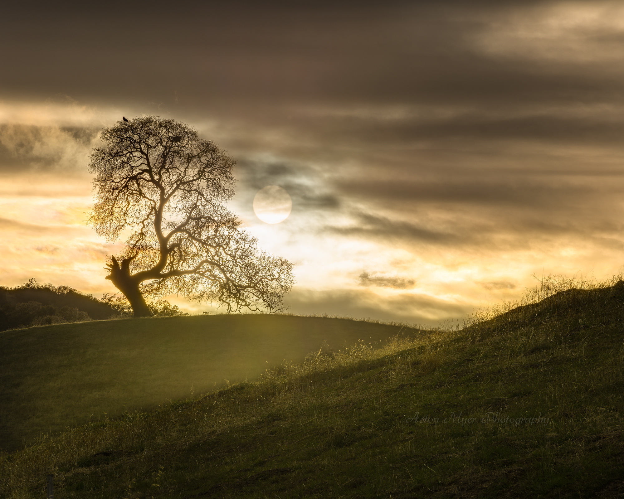 Living for Sunset.jpg