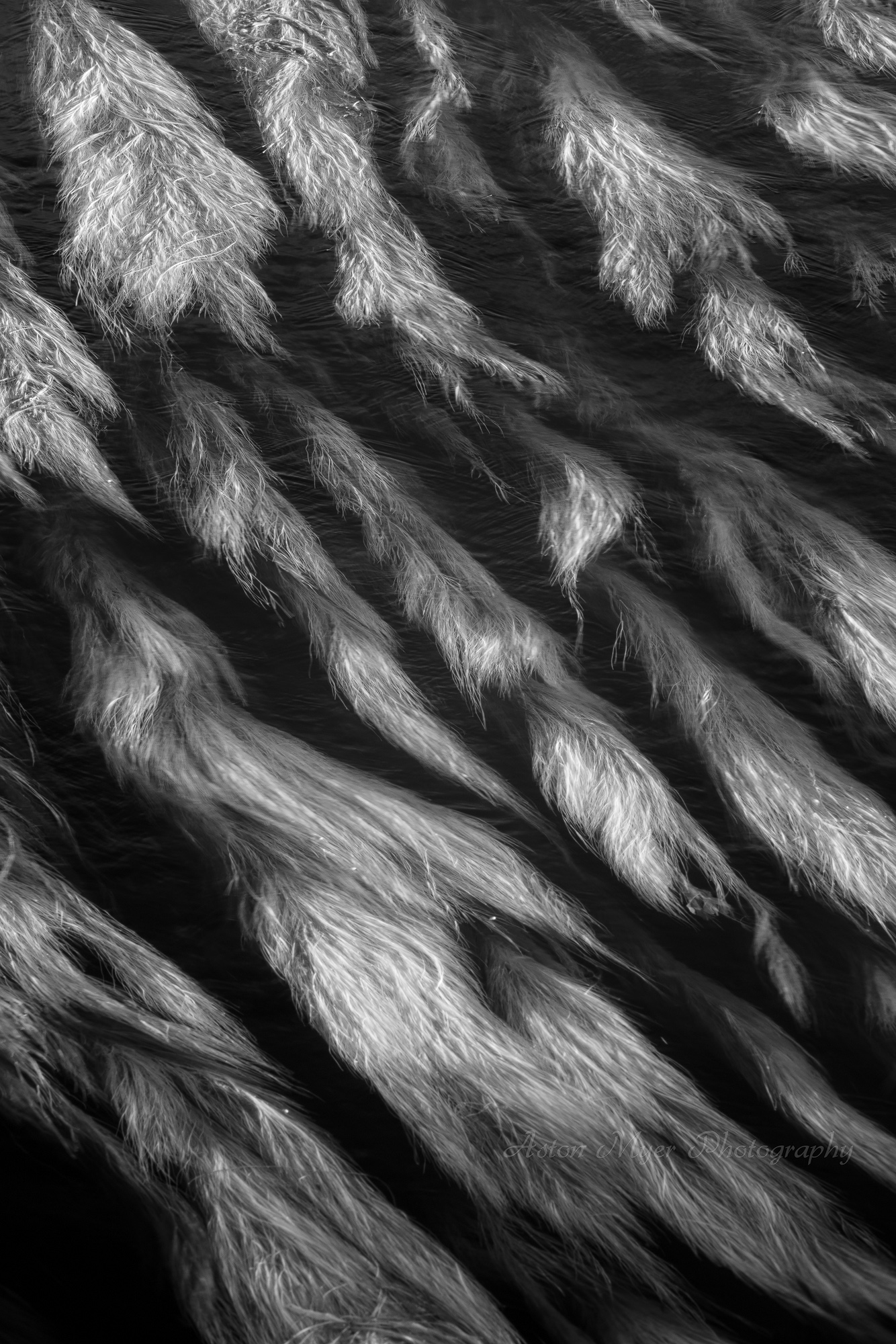 Living Water Flow.jpg