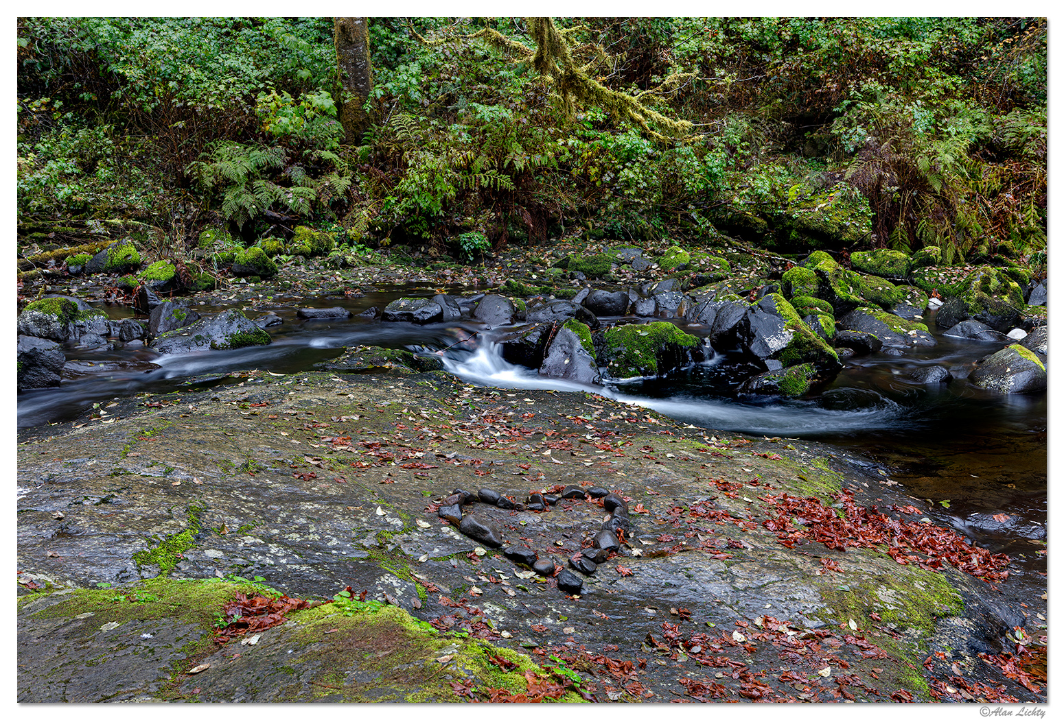 Love for Sweet Creek