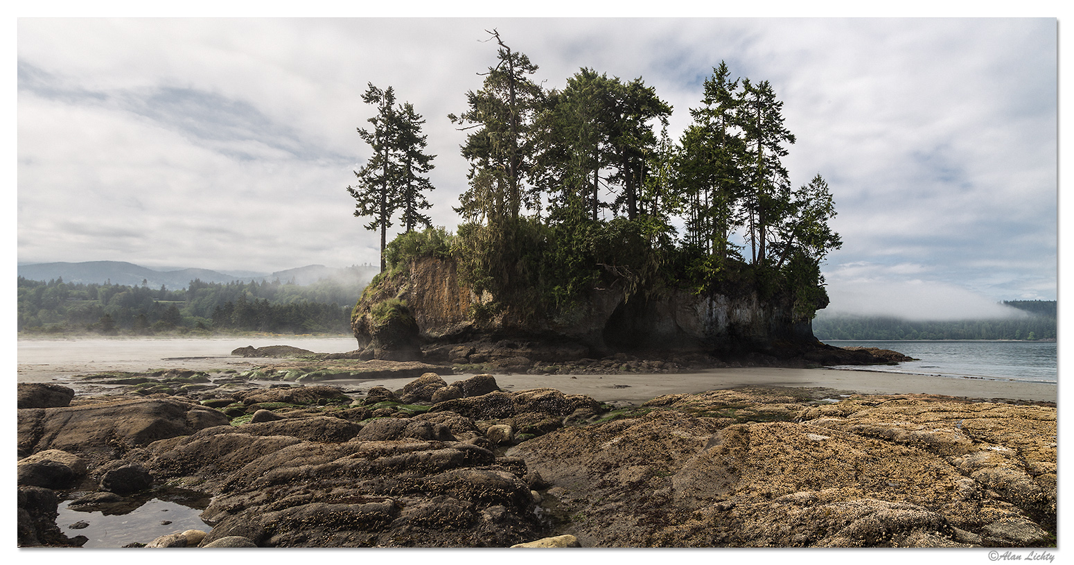 Low Tide in Crescent Bay
